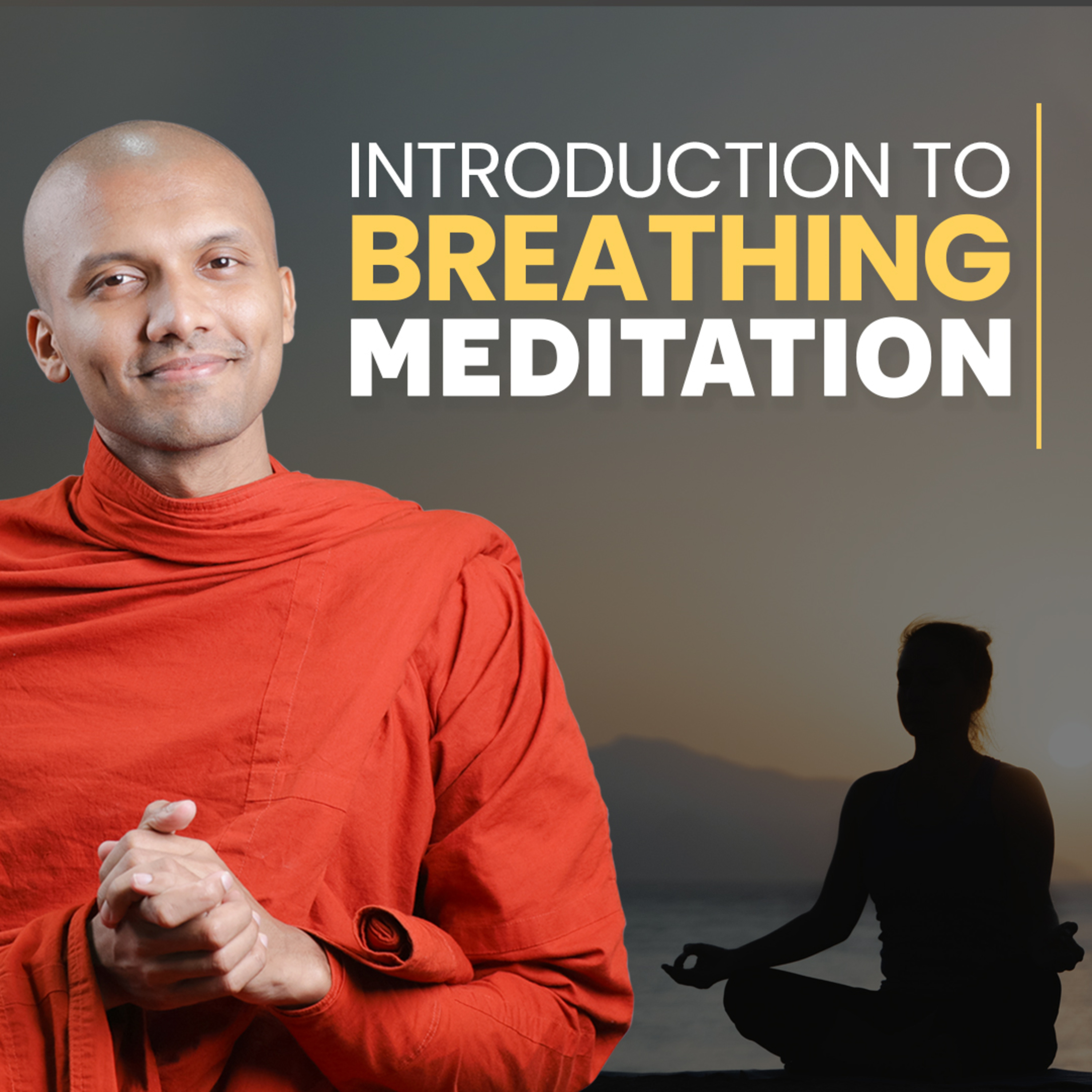 cover of episode Introduction To Breathing Meditation | Buddhism In English