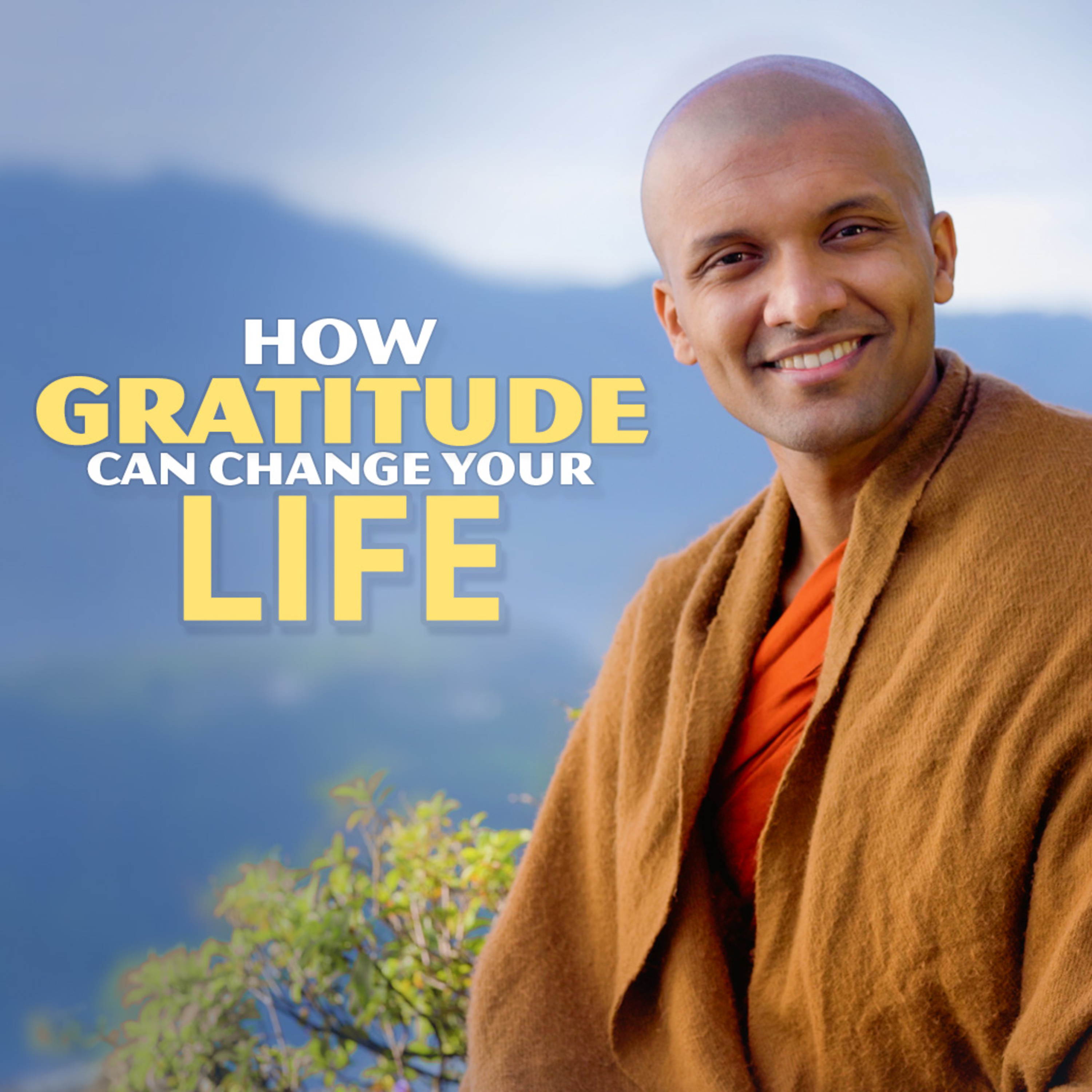 cover of episode How Gratitude Can Change Your Life | Buddhism In English