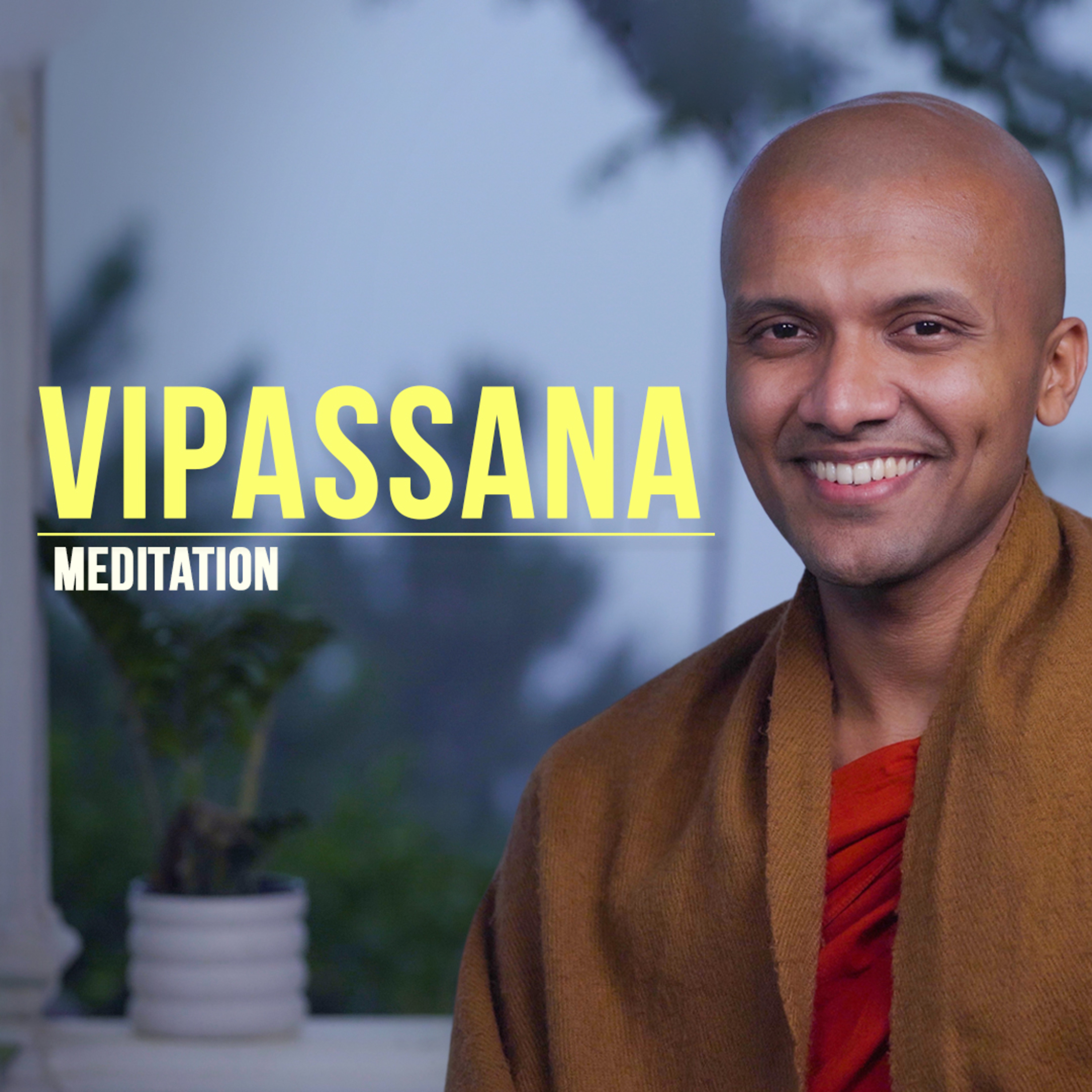cover of episode VIPASSANA | What is it? how to do it