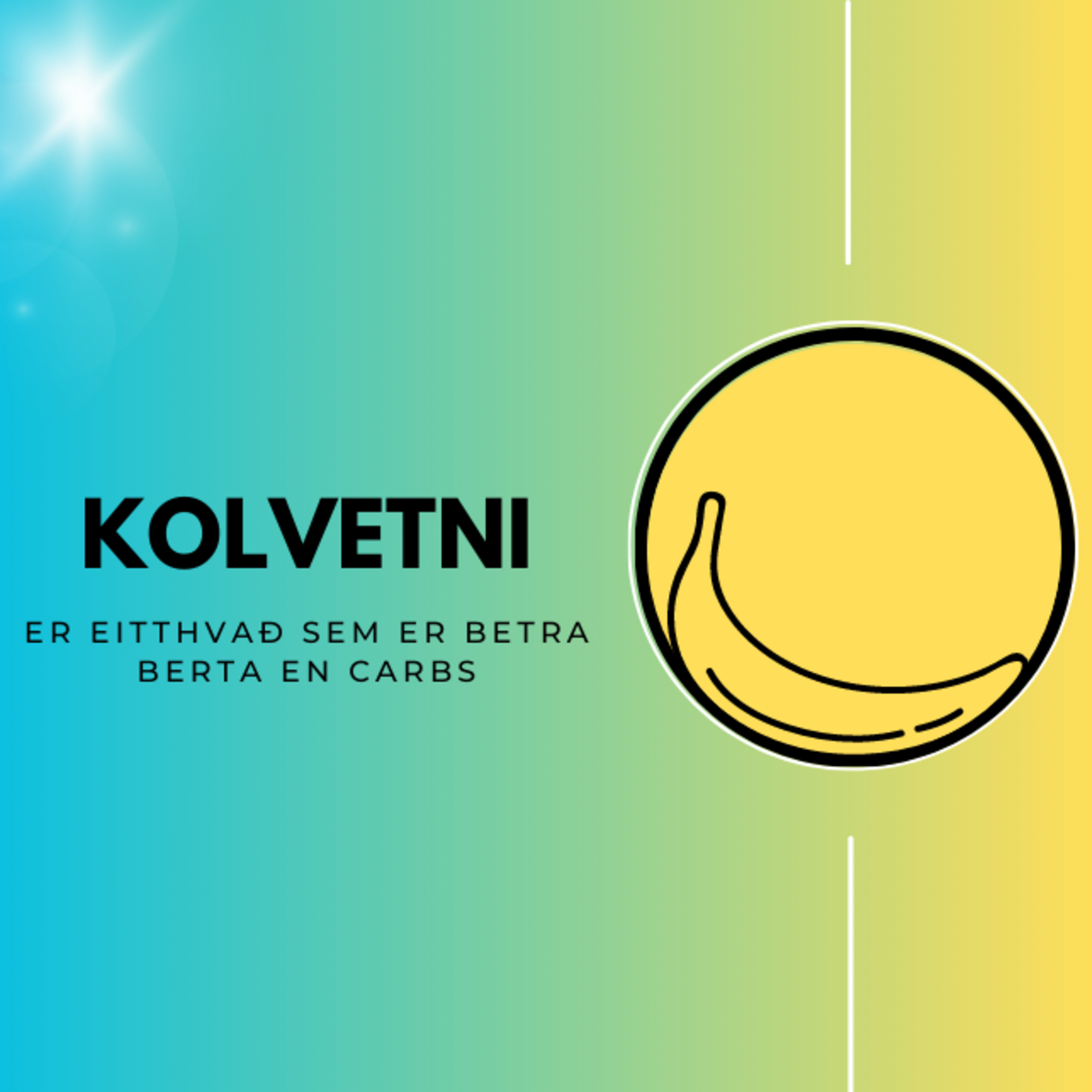 #1 - Kolvetni, sykur, ráðleggingar, melting og þarmaflóran episode artwork