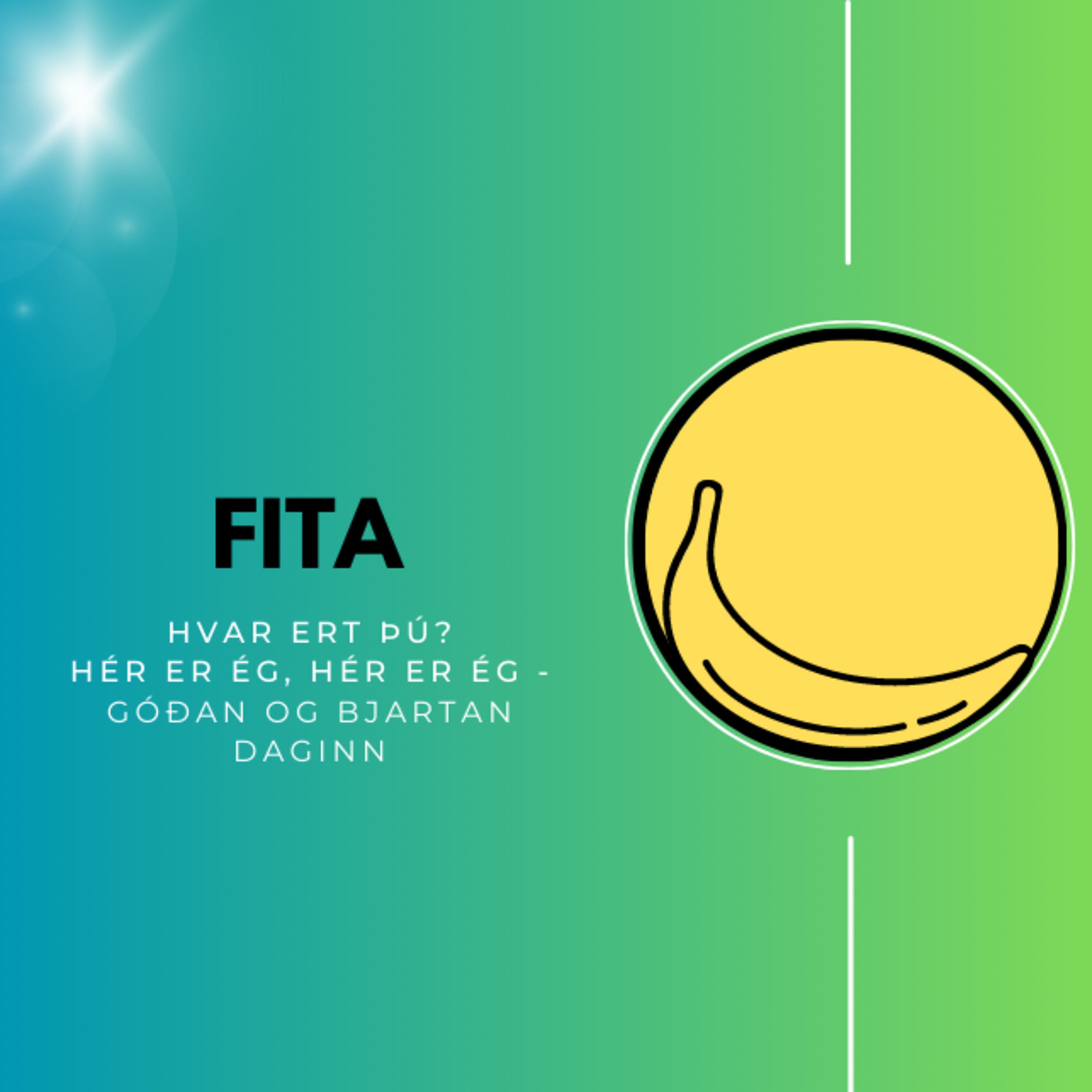 #3 - Fita, fitusýrur, ómega-3, kólesteról og eru grænmetisolíur eitraðar episode artwork