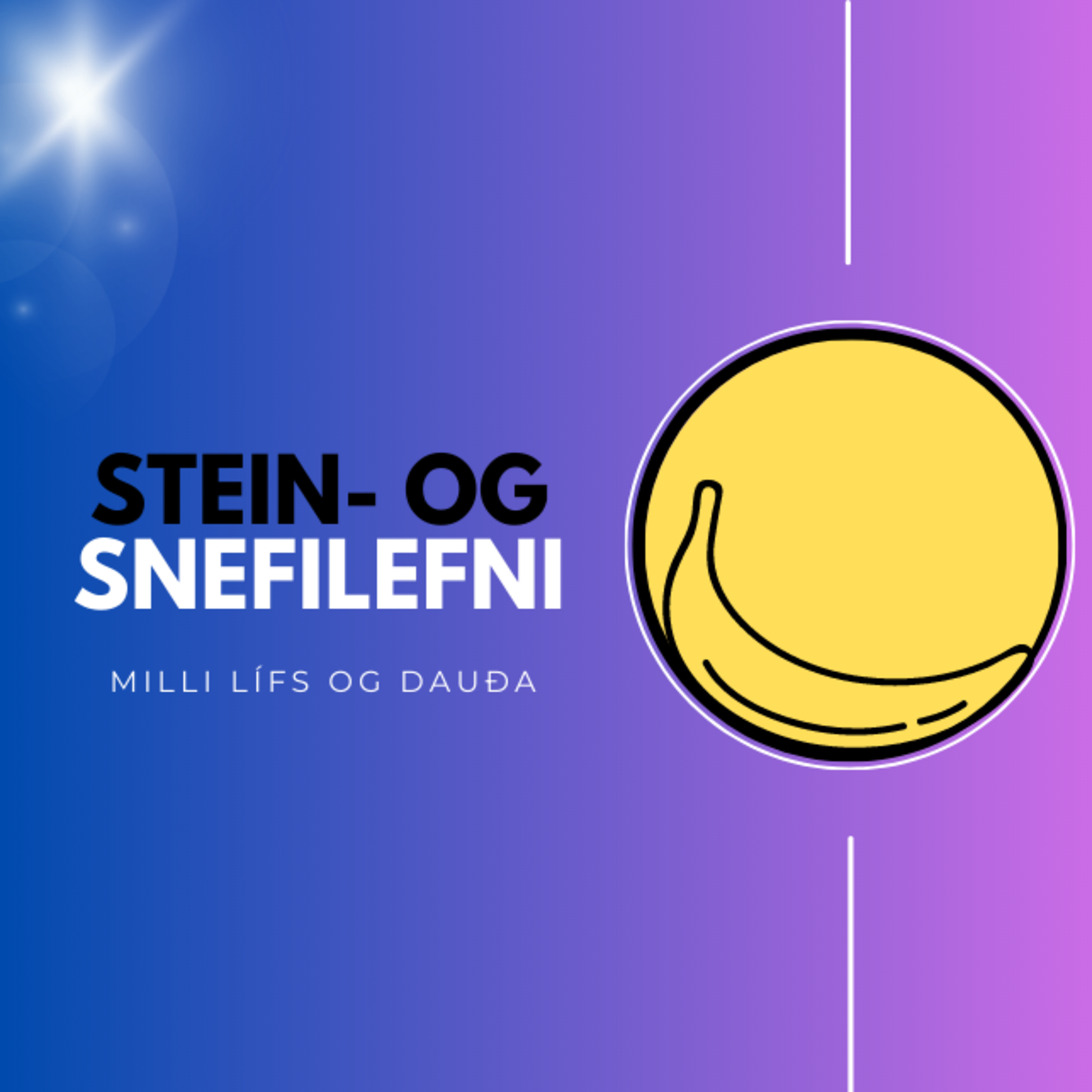 #7 - Stein- og snefilefni, BABY PRINCE, járn, joð og fjölbreytnin episode artwork