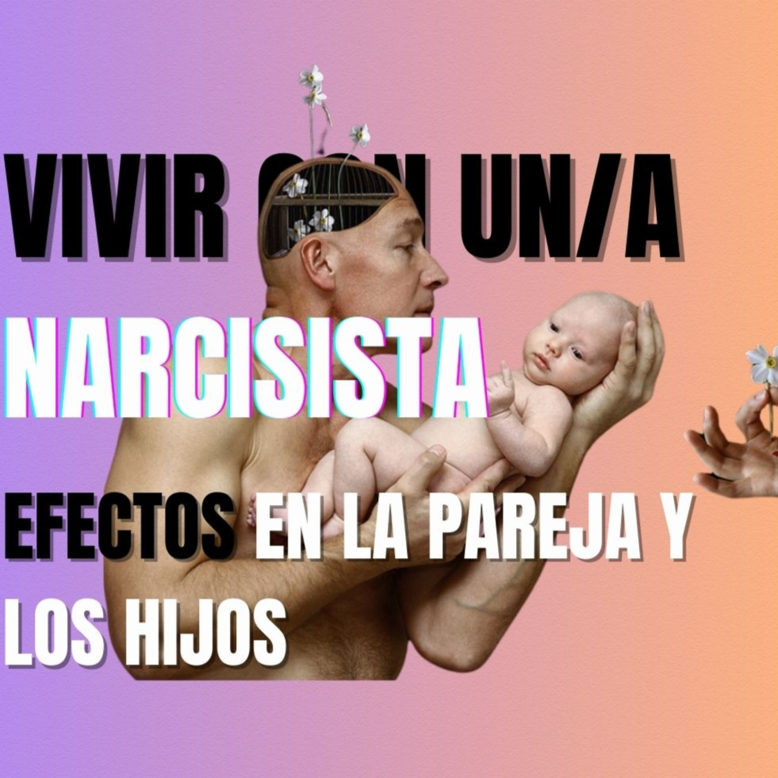 TERAPIA DIARIA