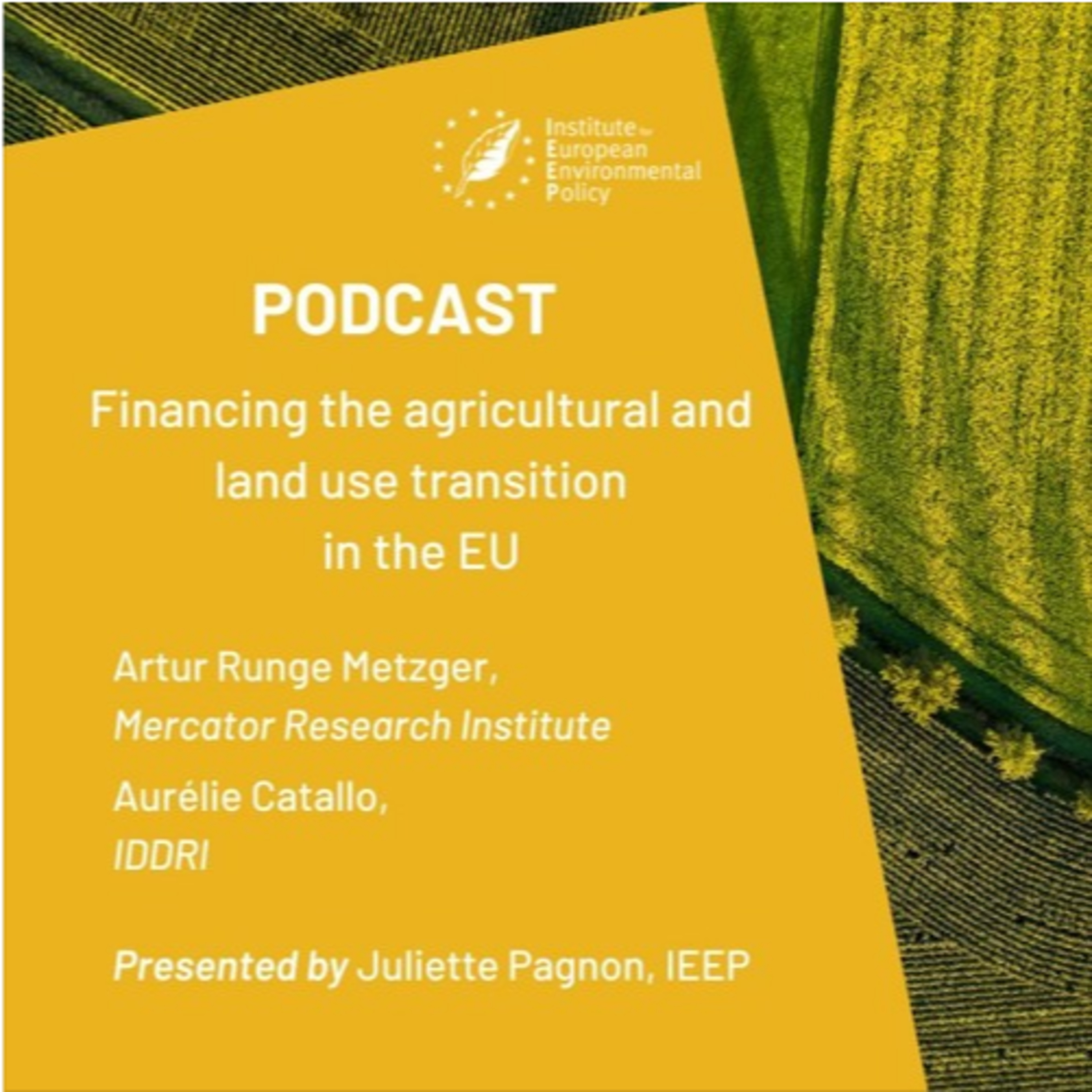 Podcast | Financing the agriculture and land use transition in the EU episode artwork