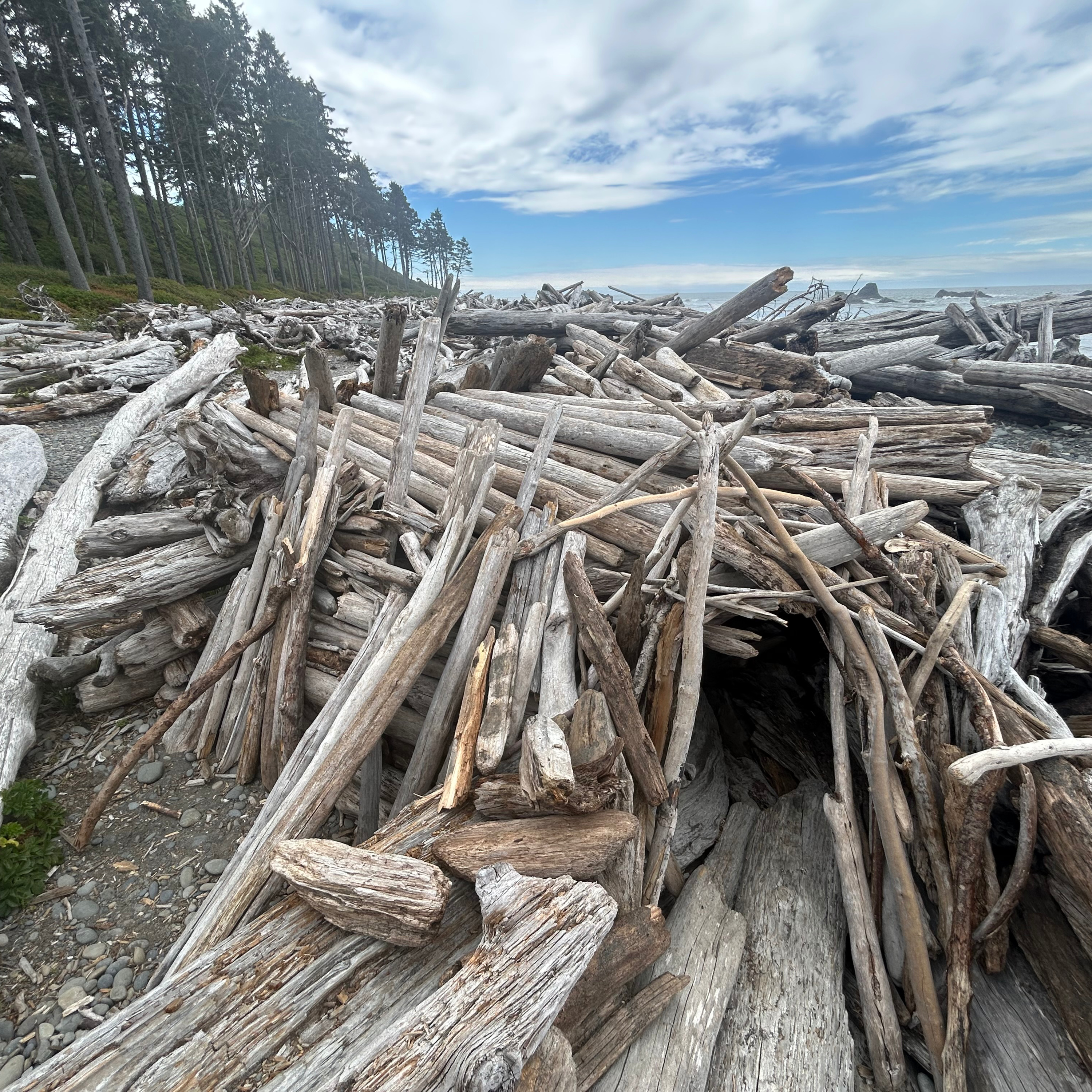 epic log cabin (bonus)