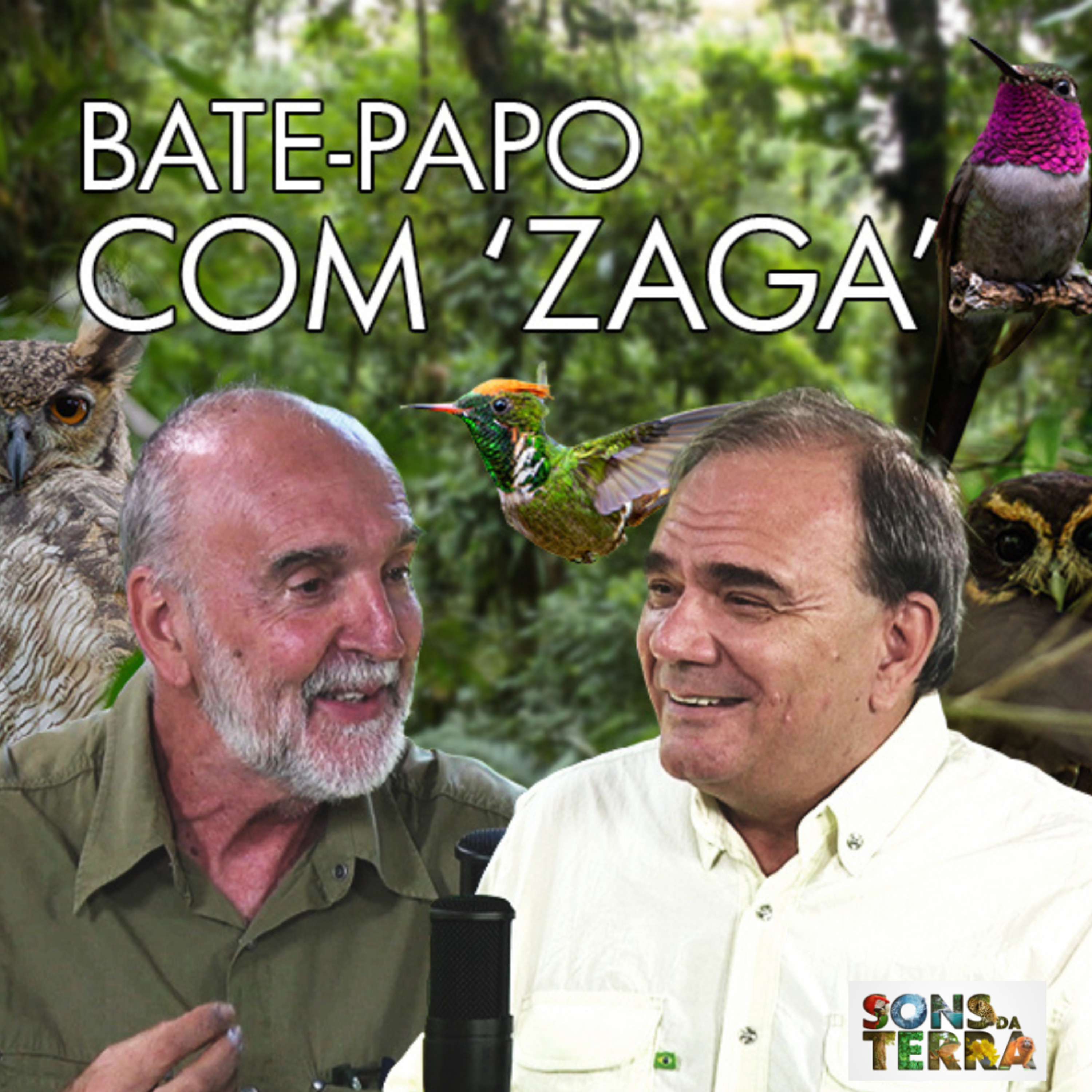 Sons da Terra