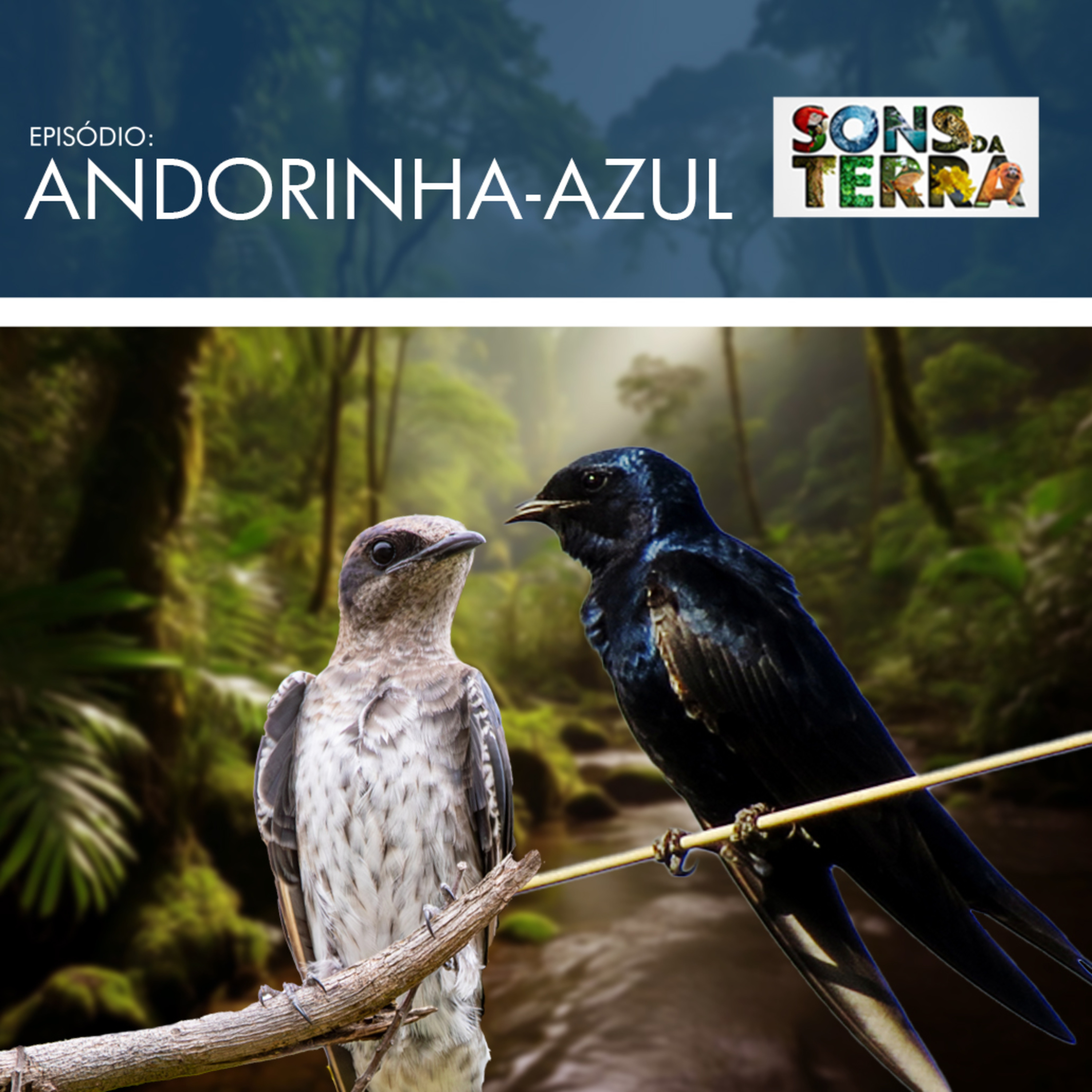 Sons da Terra