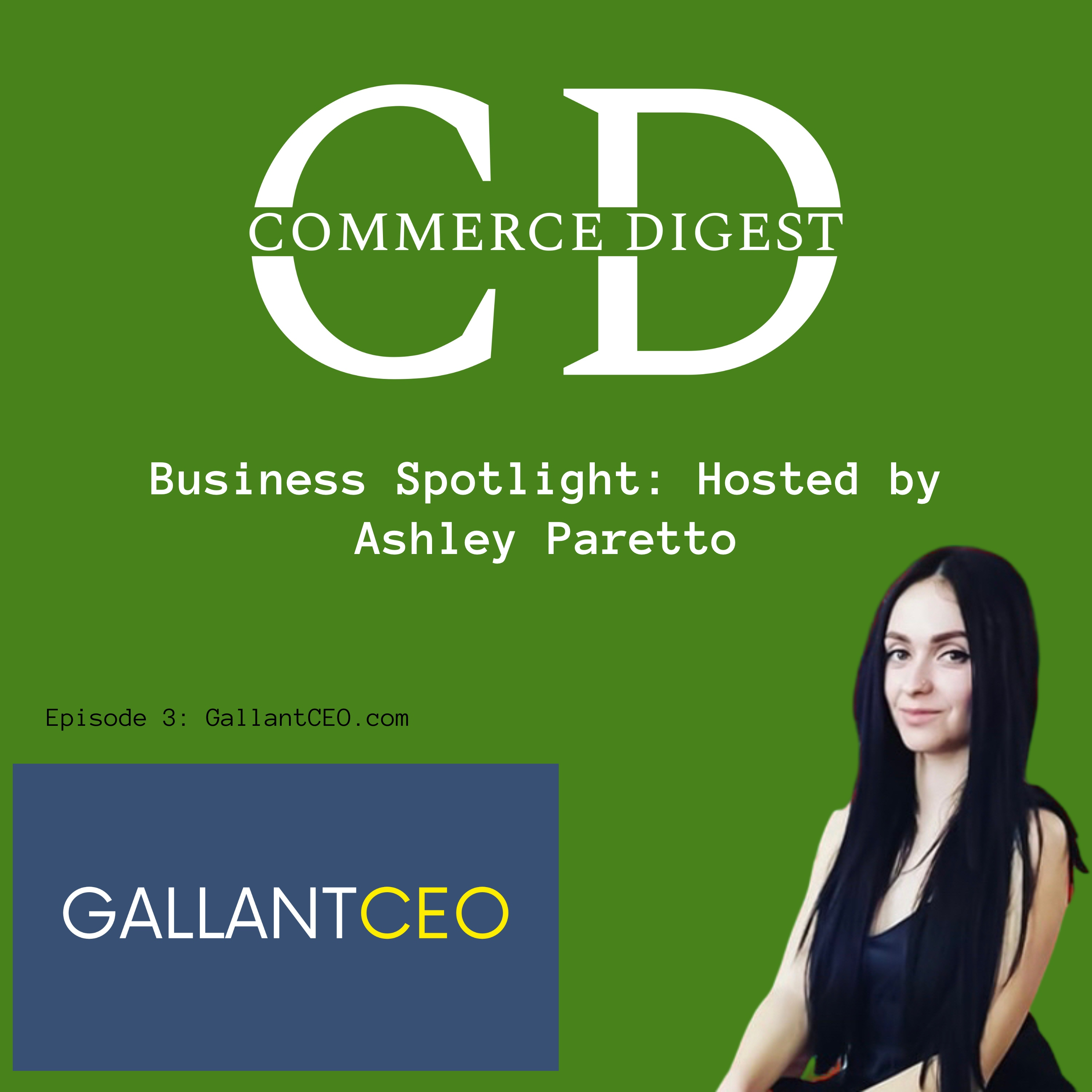 Episode #3: Russ Turner's GallantCEO.com: A New Resource for Entrepreneurs: Insights and Wisdom from Tech Titans