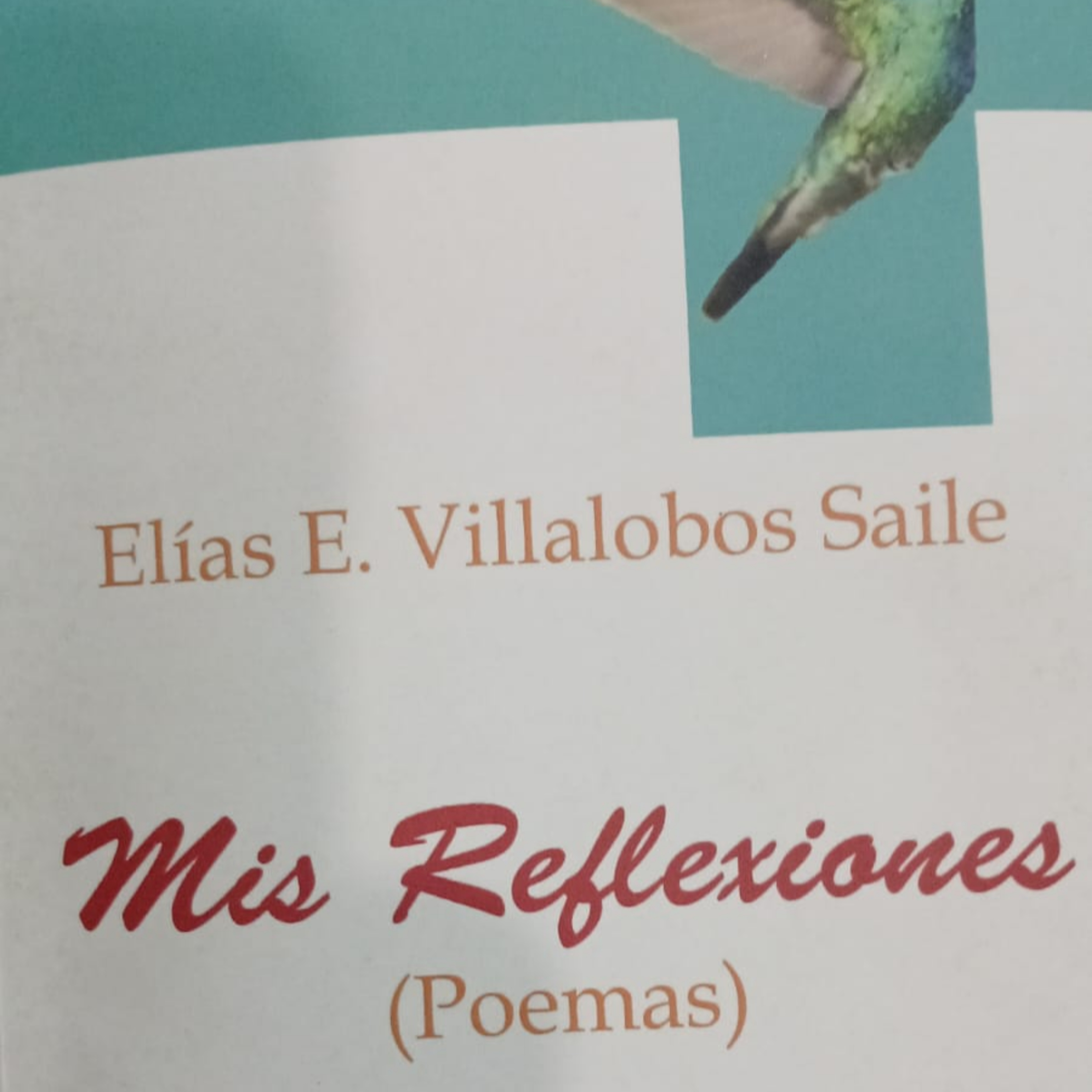 4.- Poesía Rodante