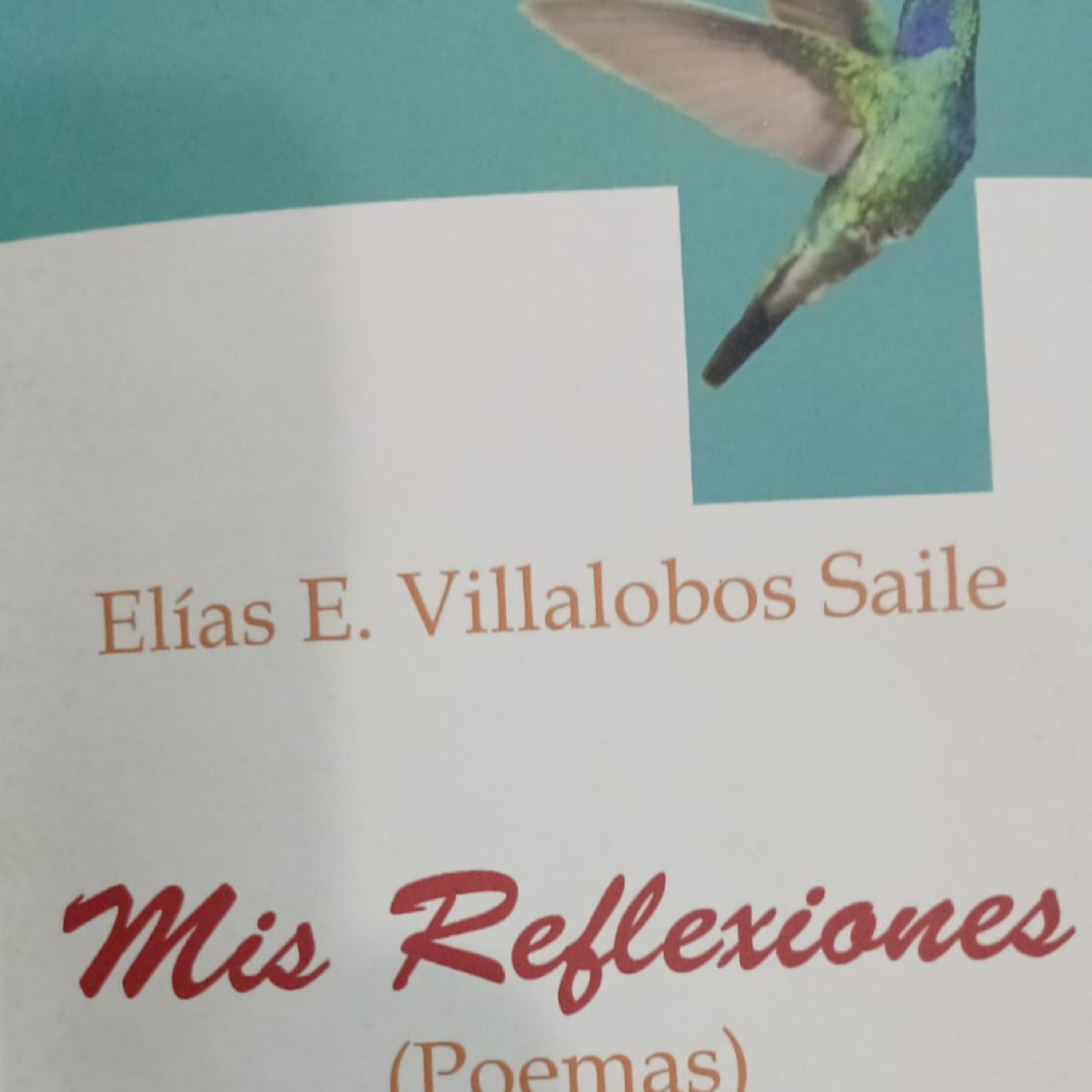 9.- A donde fue la poesia