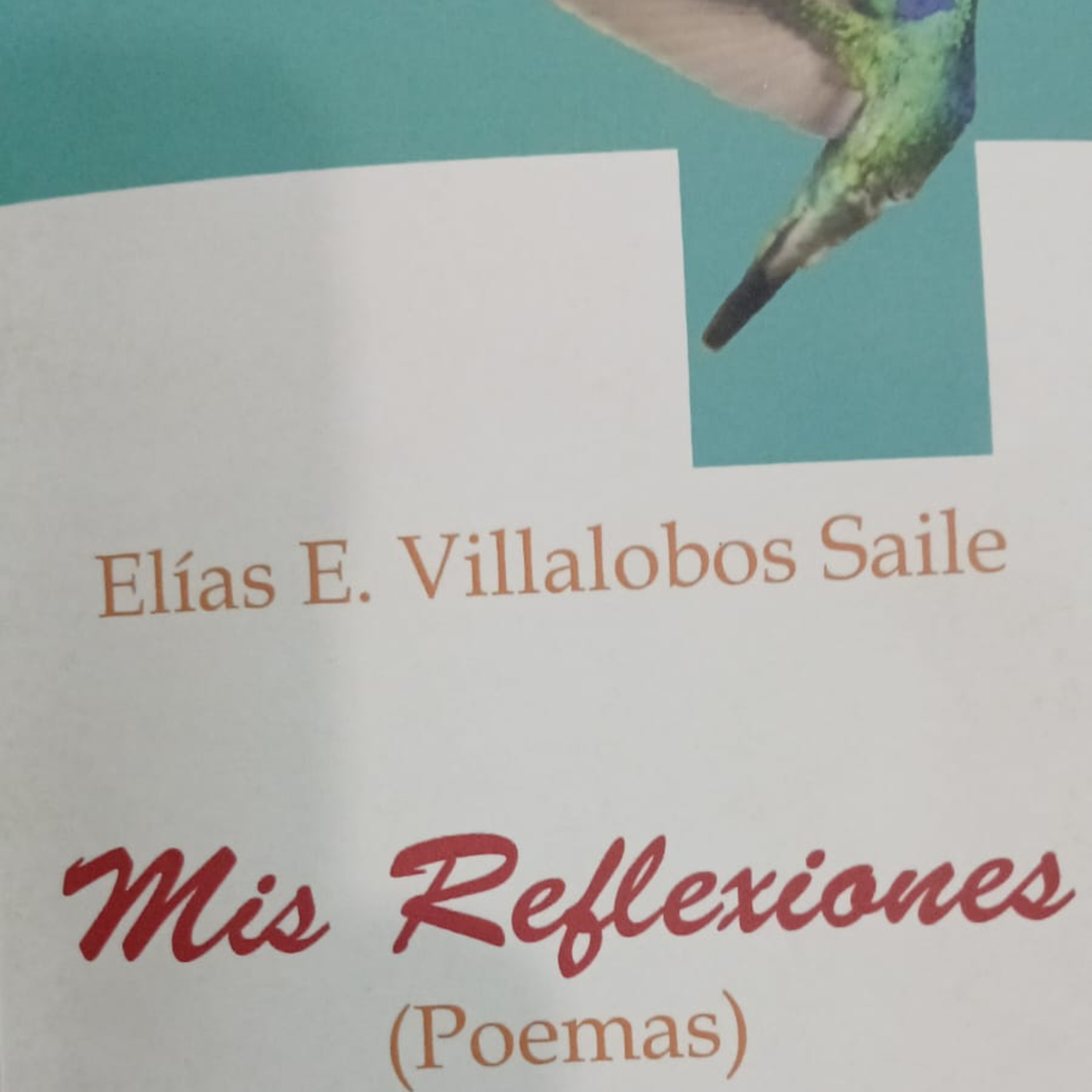 34.- Observo el verde pasto