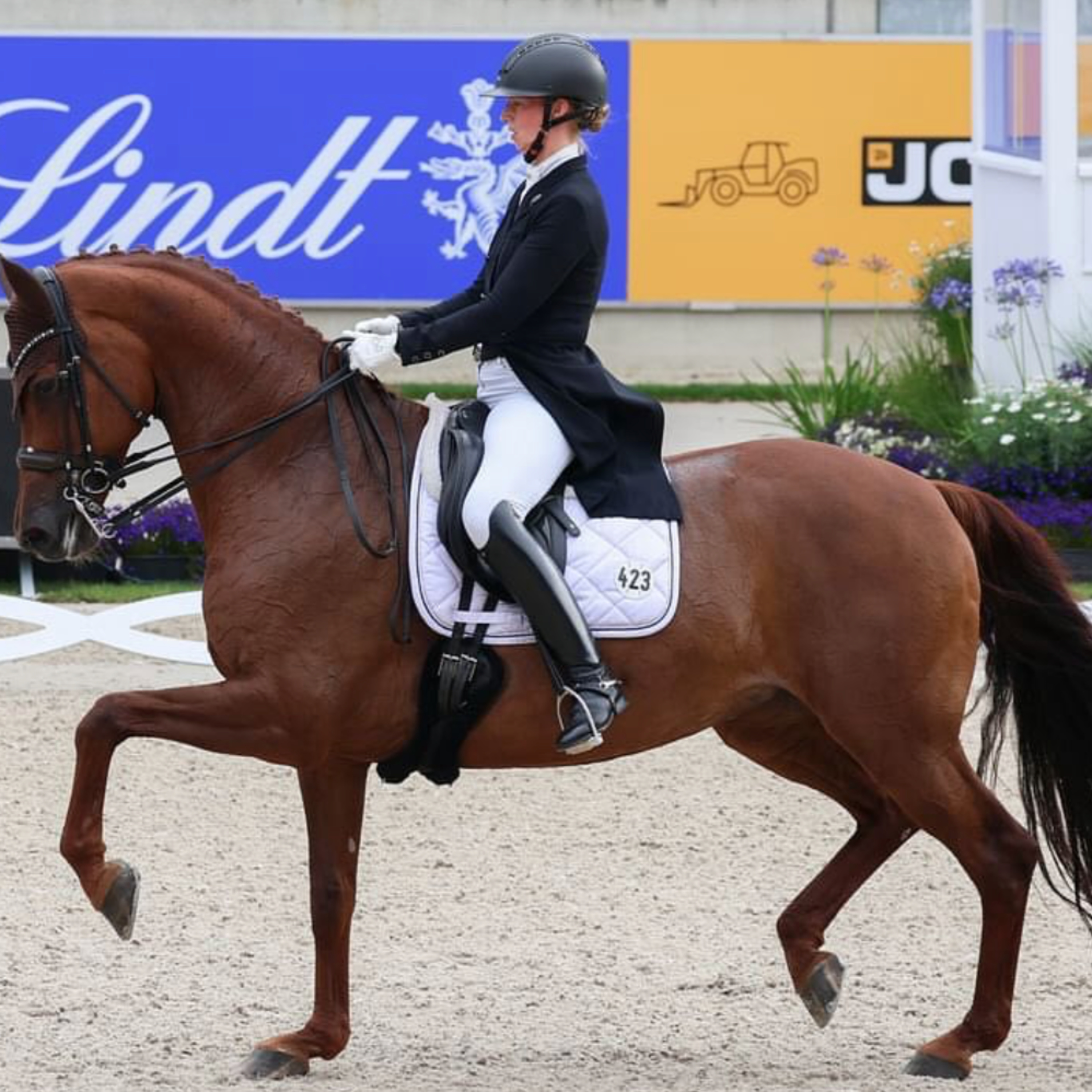 #199 - Fabienne Müller-Lütkemeier - u.a. über die besondere Verbindung zum Reitsport episode artwork