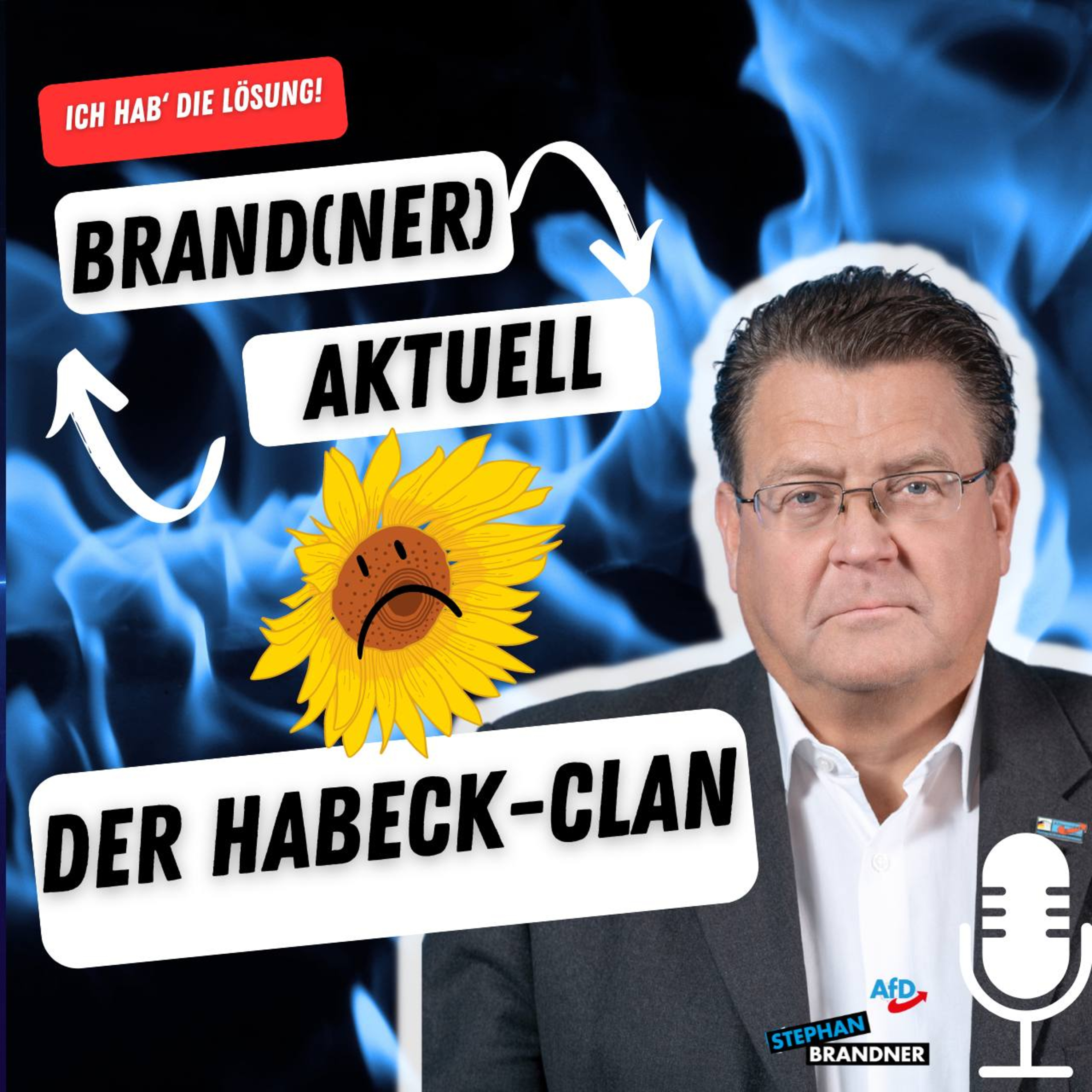 BRAND(NER) AKTUELL - der Sonntags-Podcast mit dem AfD-Bundestagsabgeordneten Stephan Brandner