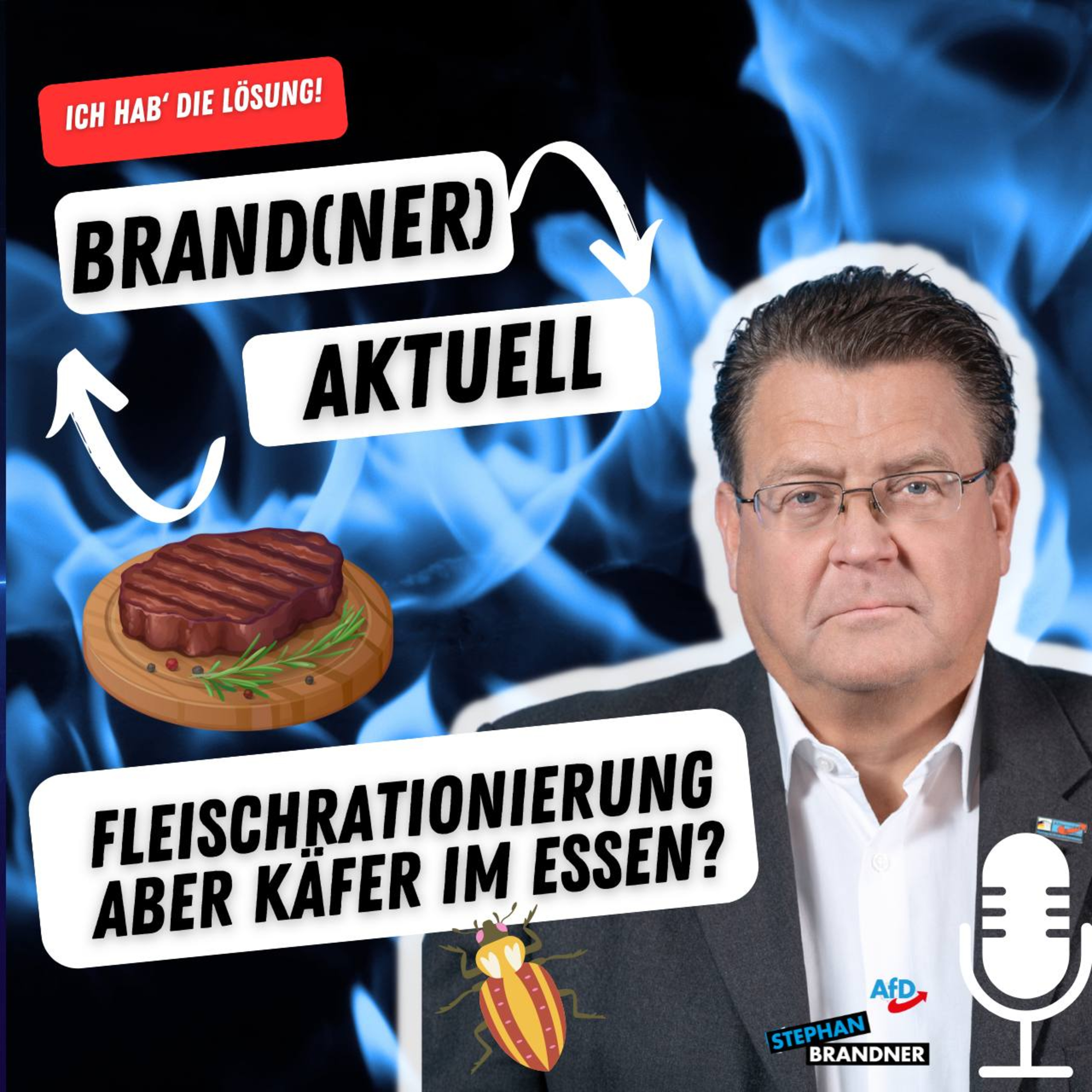 BRAND(NER) AKTUELL - der Sonntags-Podcast mit dem AfD-Bundestagsabgeordneten Stephan Brandner