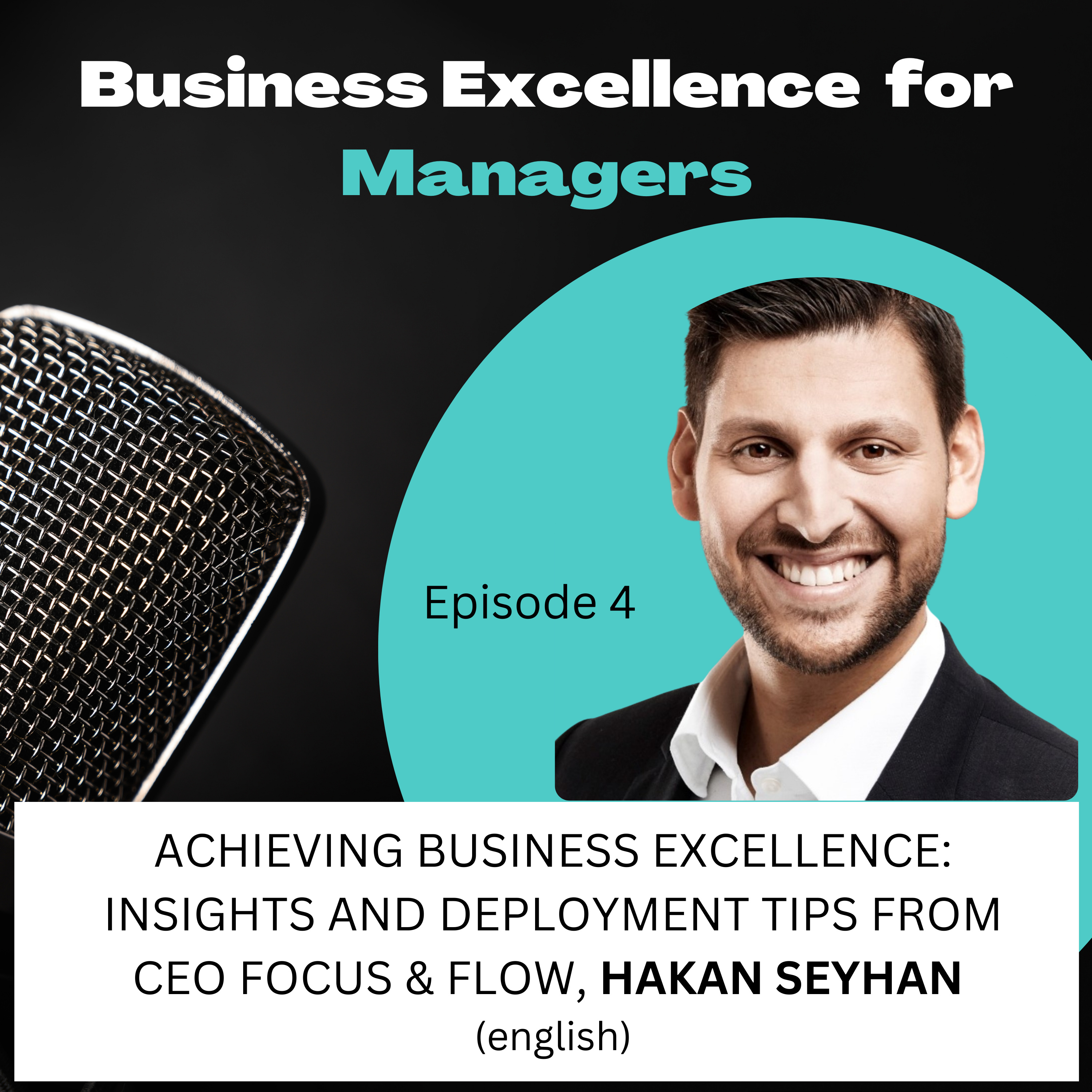Business Excellence for Managers