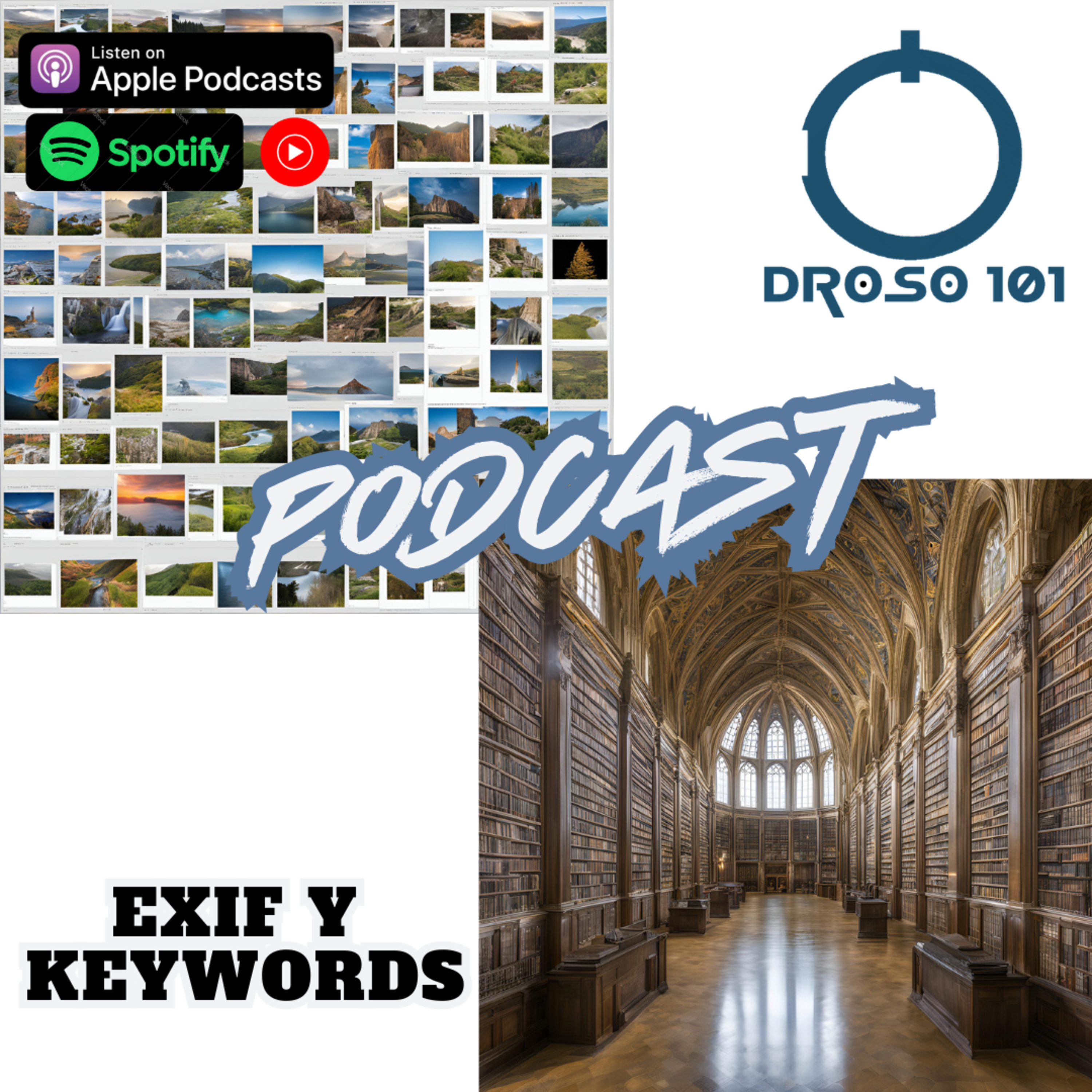 DrOso101