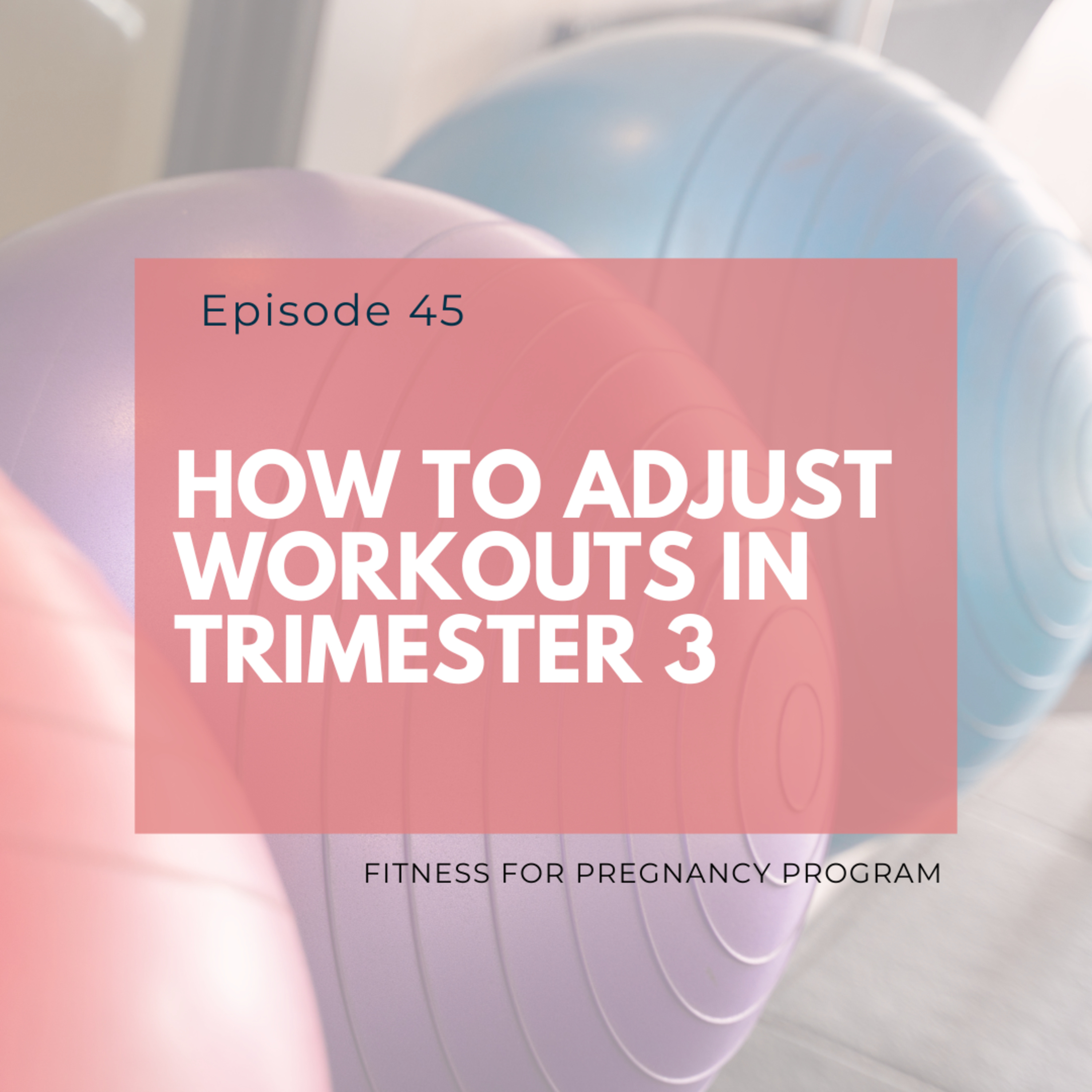 Fitness for Pregnancy and Beyond