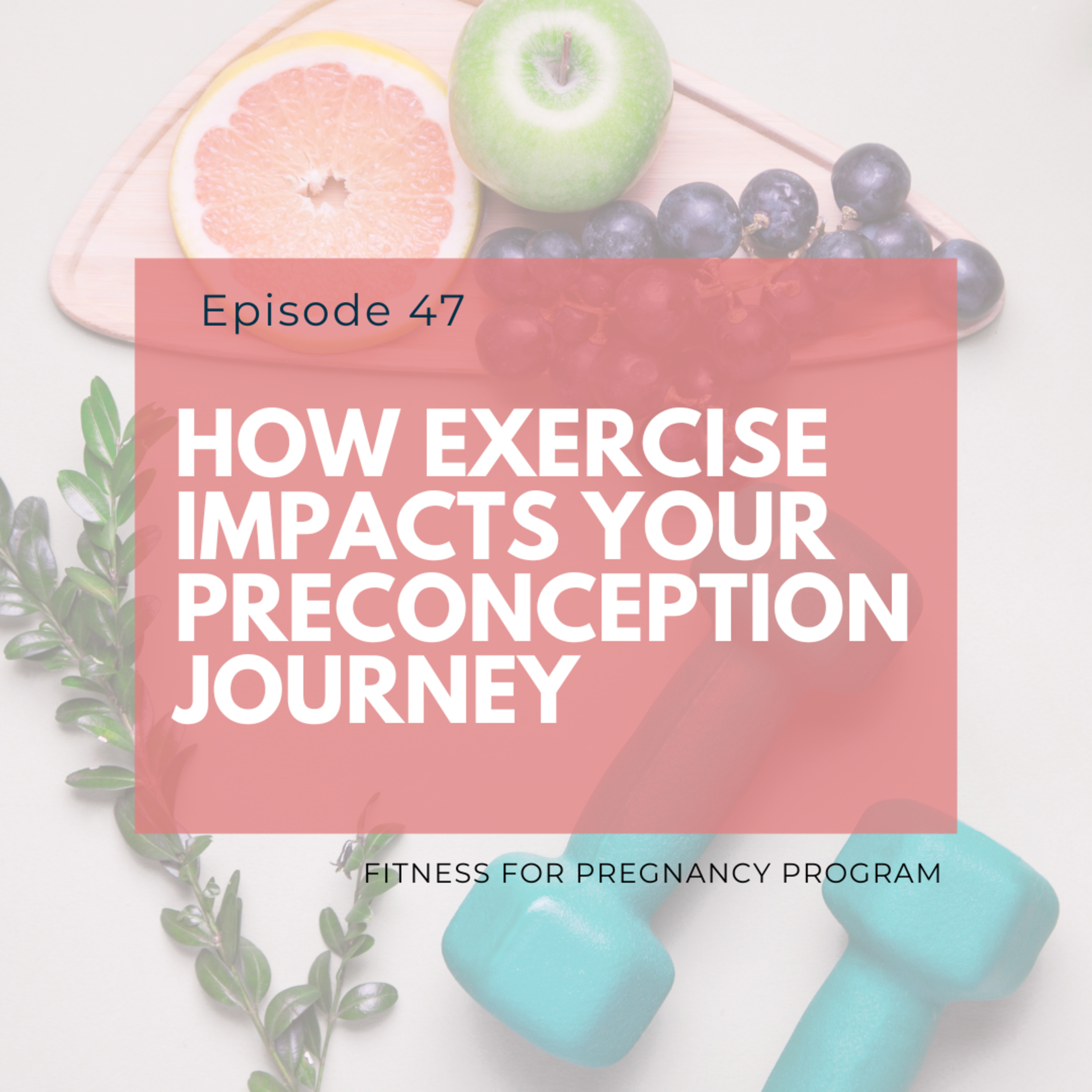 Fitness for Pregnancy and Beyond