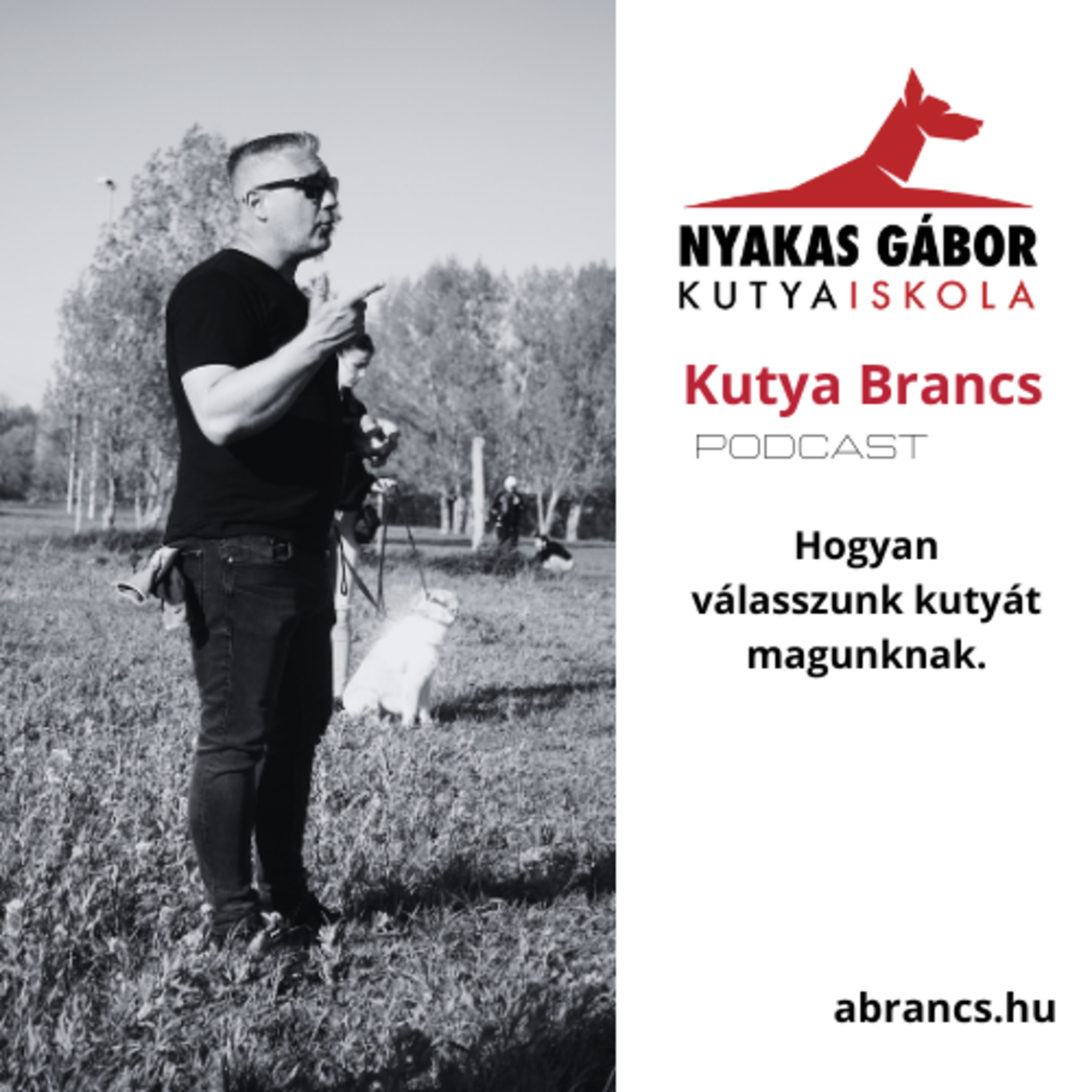 Nyakas Gábor Kutya Brancs
