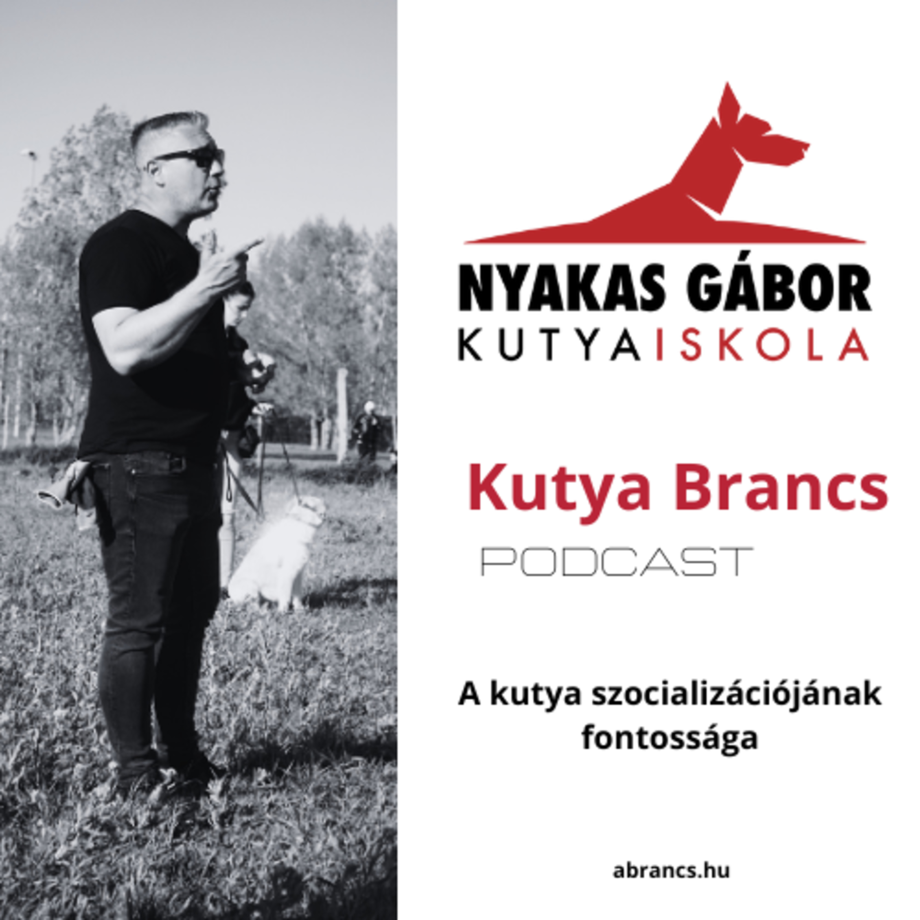 Nyakas Gábor Kutya Brancs