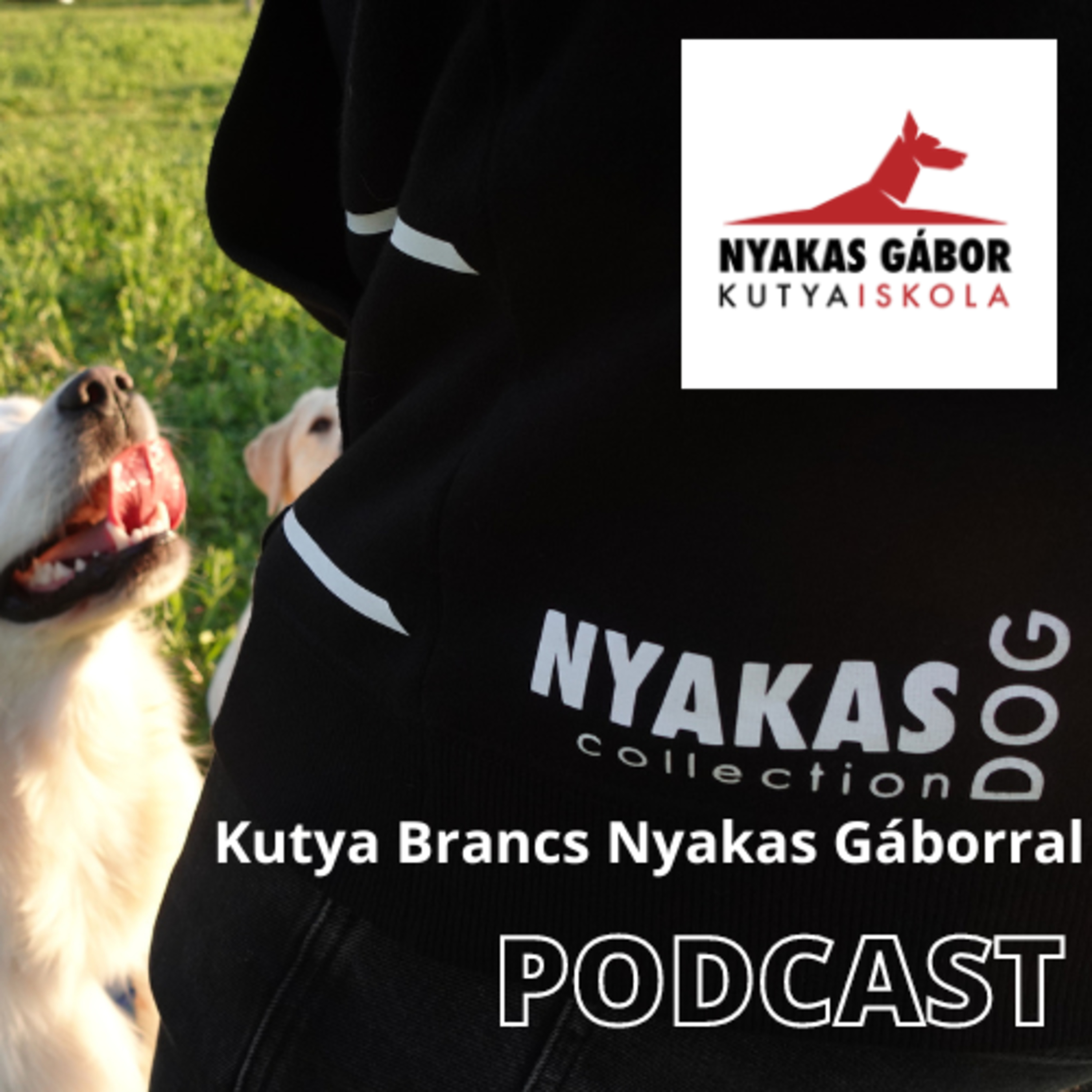 Nyakas Gábor Kutya Brancs