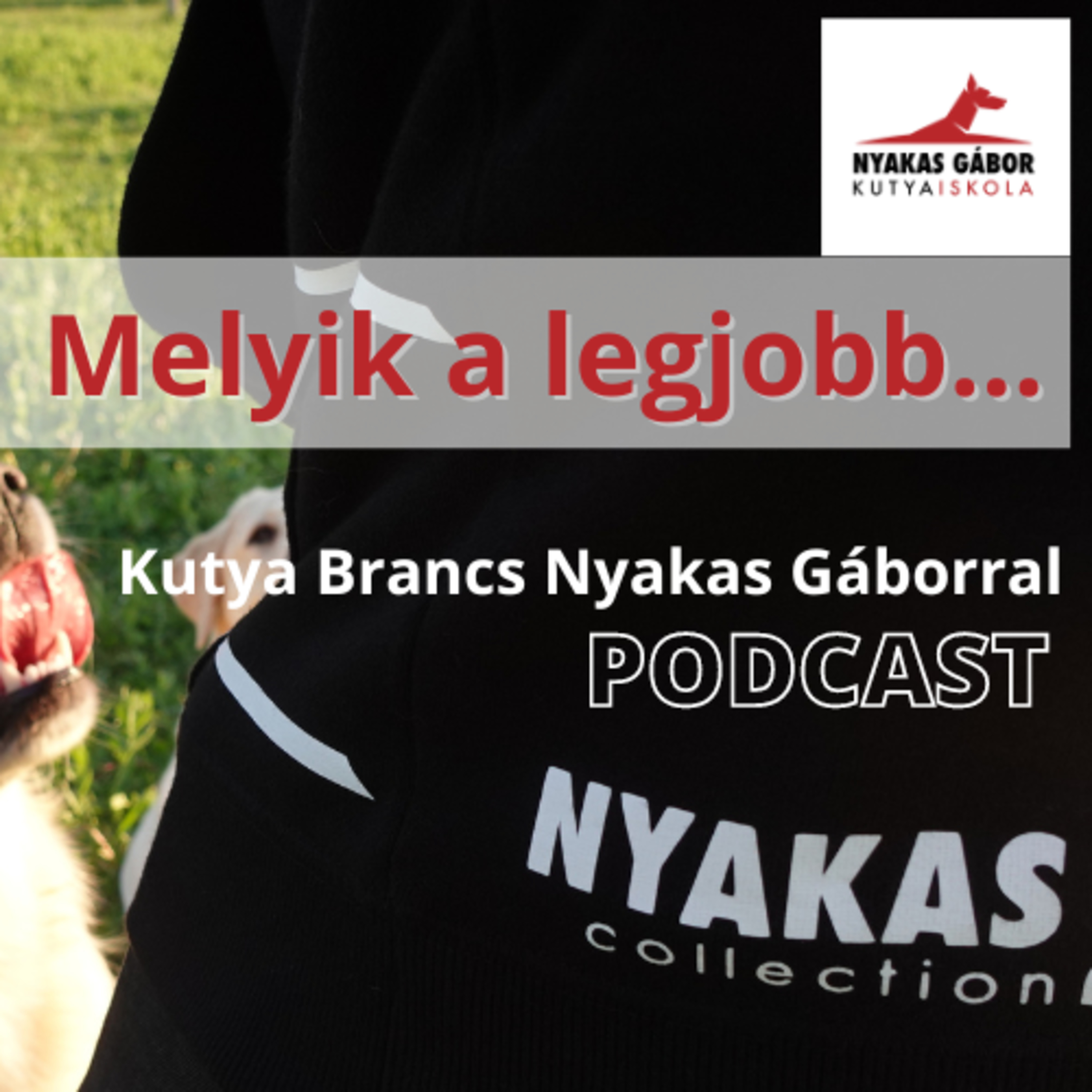 Nyakas Gábor Kutya Brancs