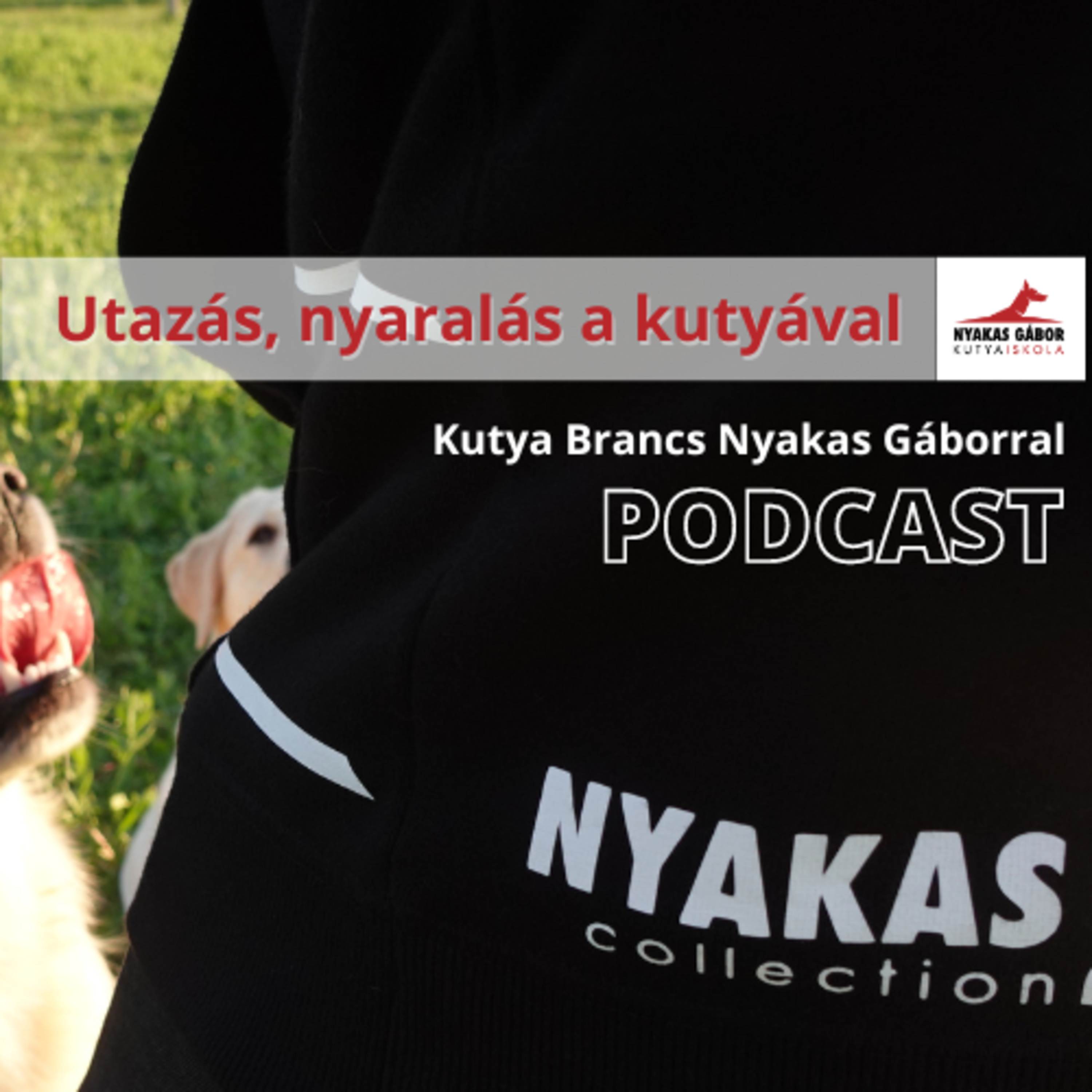 Nyakas Gábor Kutya Brancs