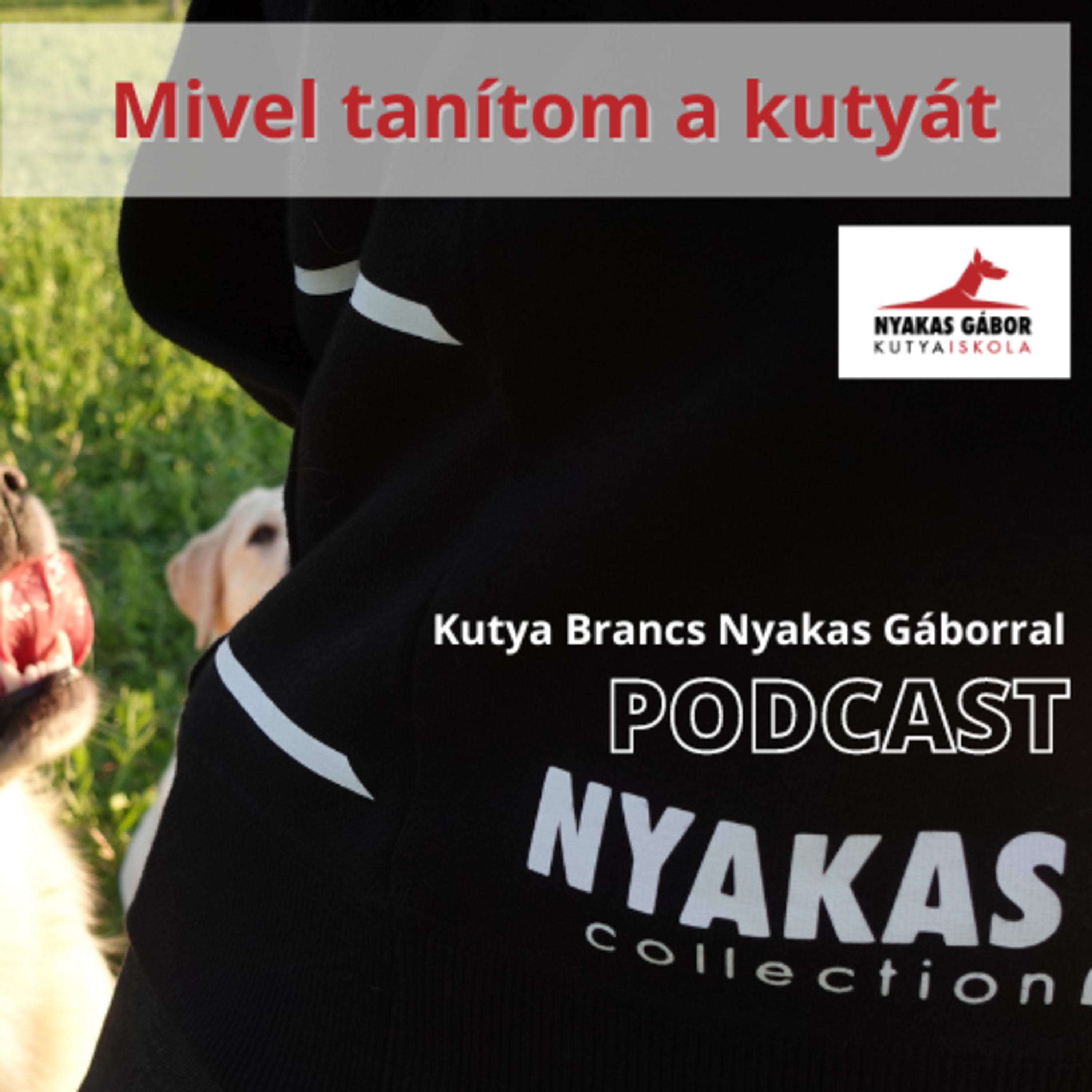 Nyakas Gábor Kutya Brancs