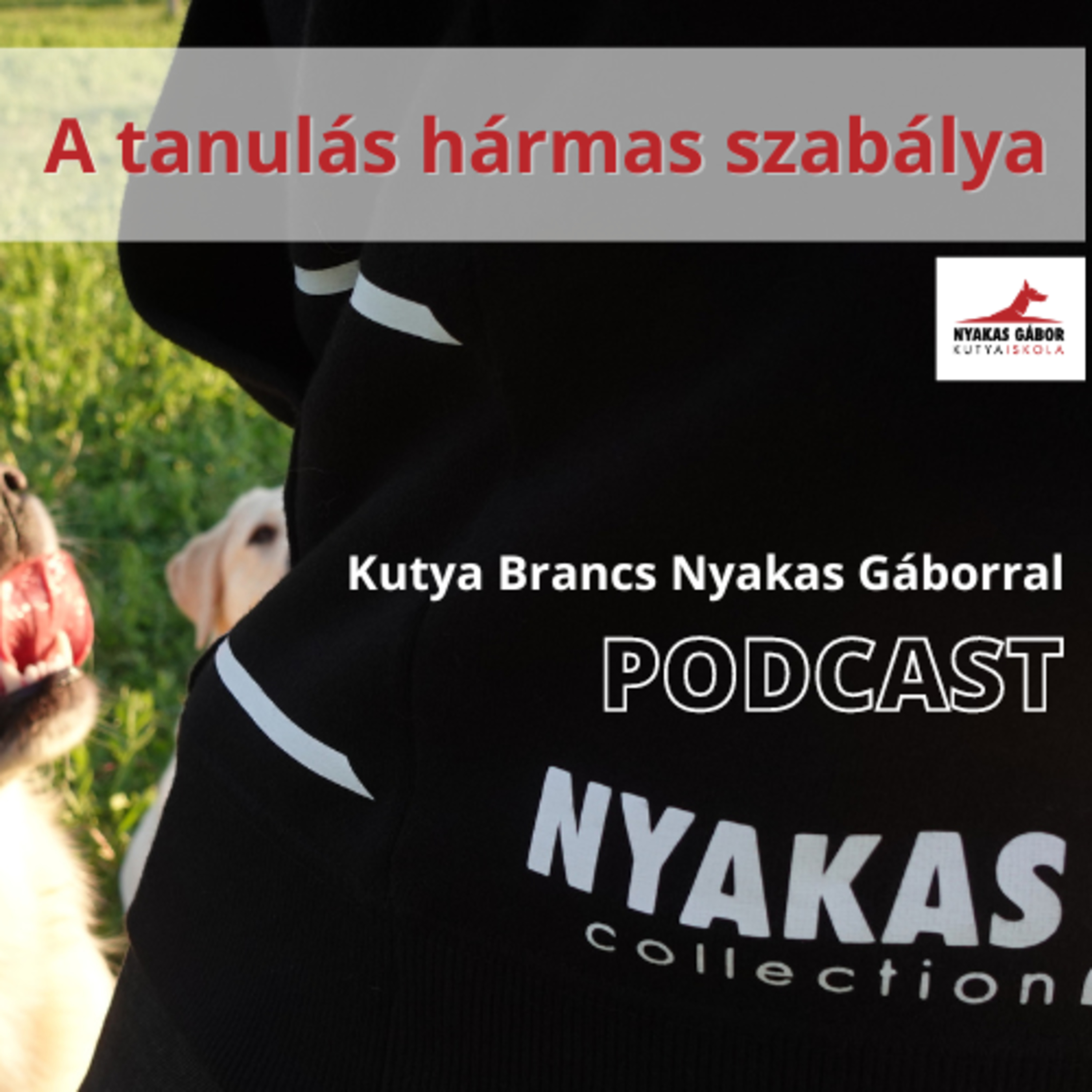 Nyakas Gábor Kutya Brancs