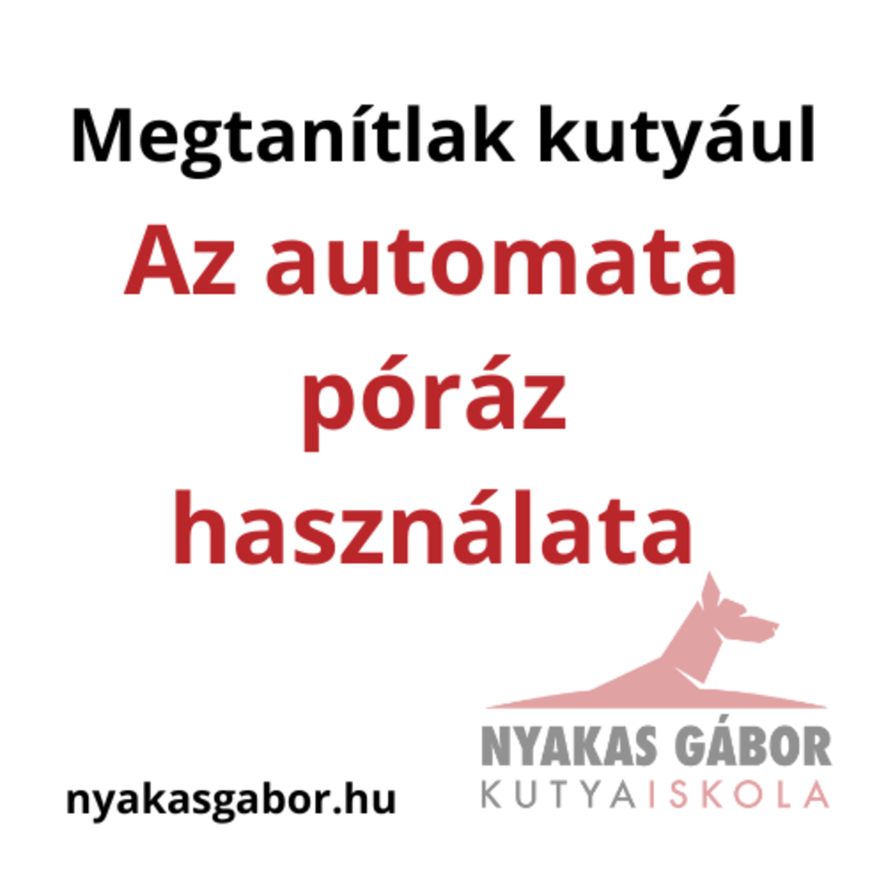 Nyakas Gábor Kutya Brancs