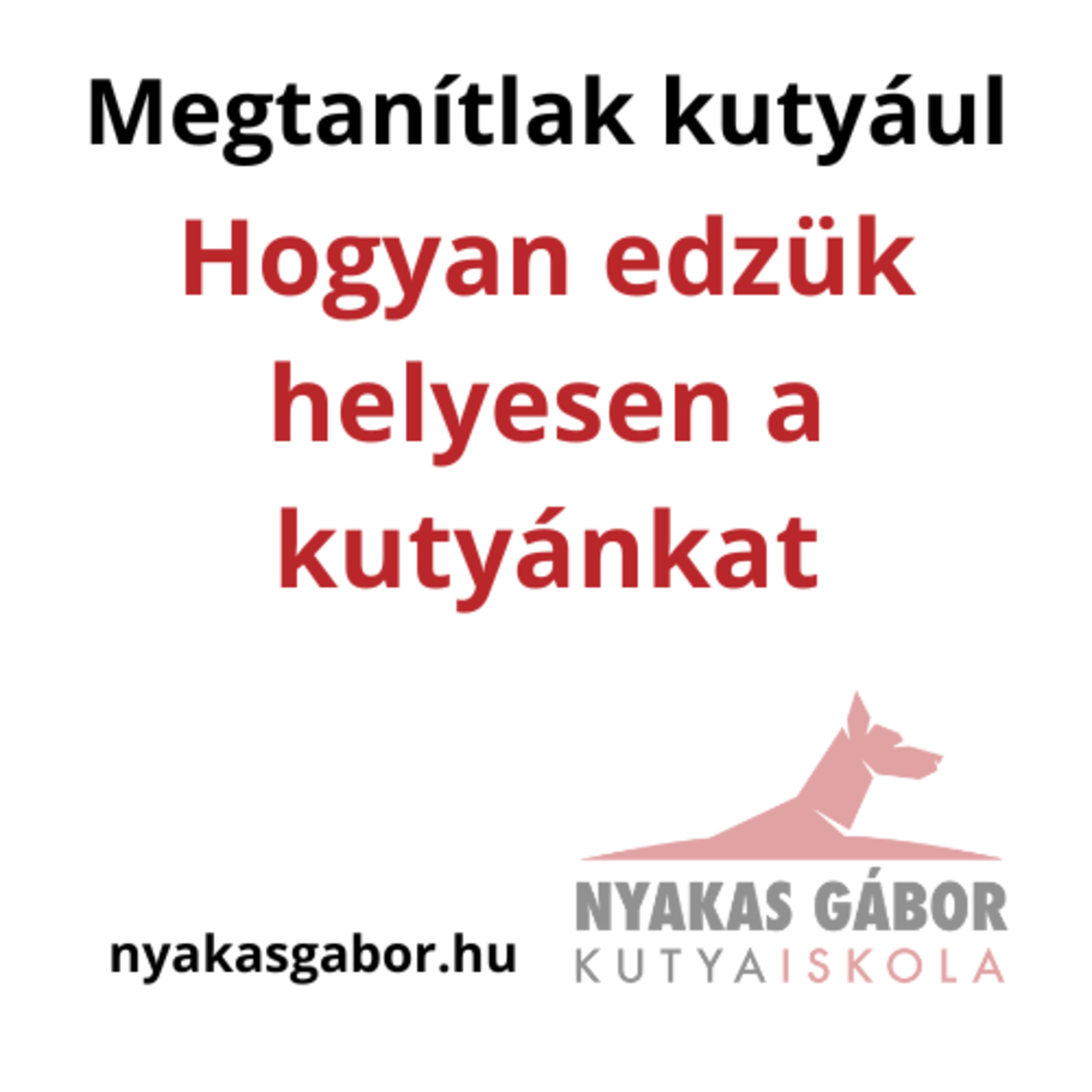 Nyakas Gábor Kutya Brancs