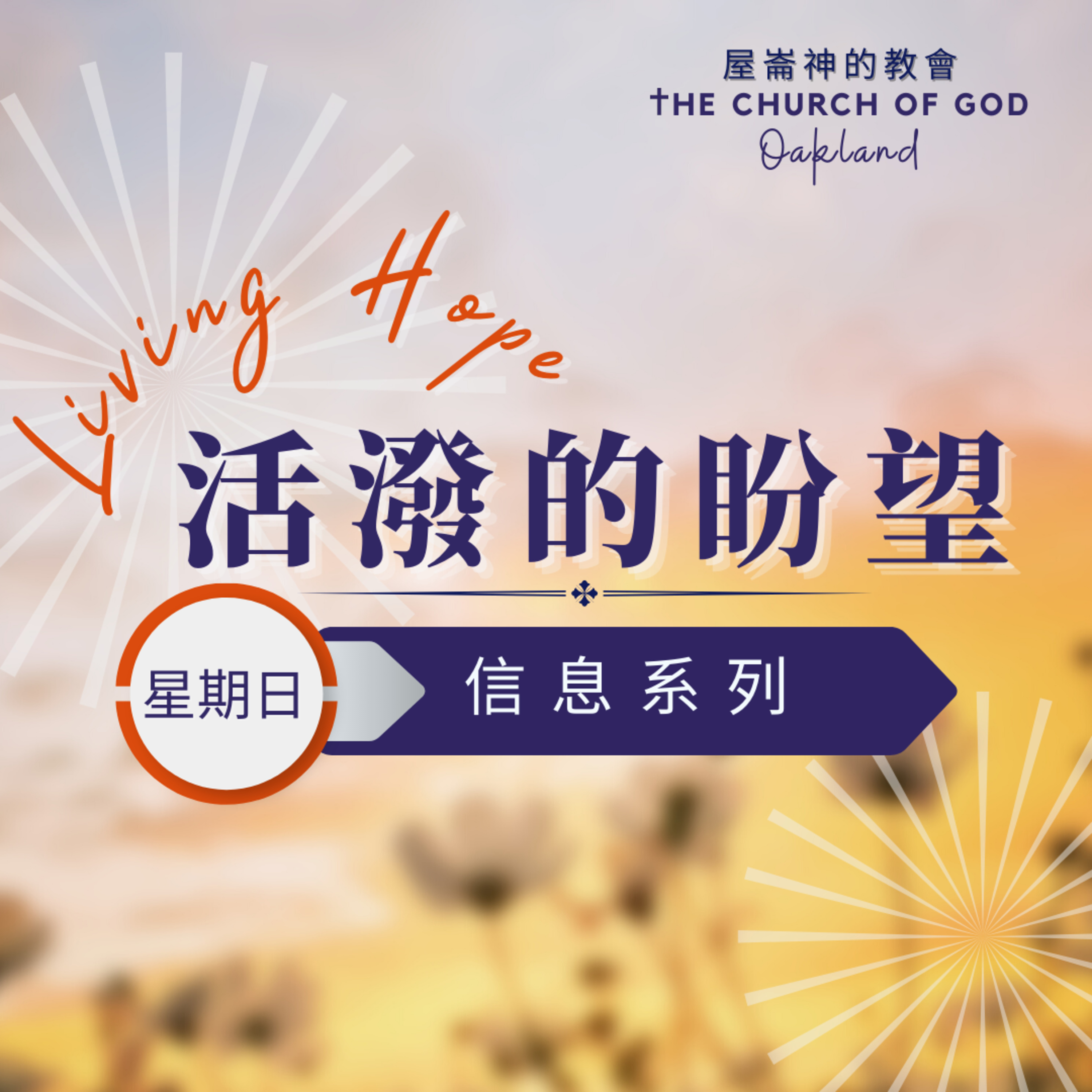 Living Hope “活潑的盼望” 信息系列 2 of 4 復活-耶穌是神的兒子 episode artwork