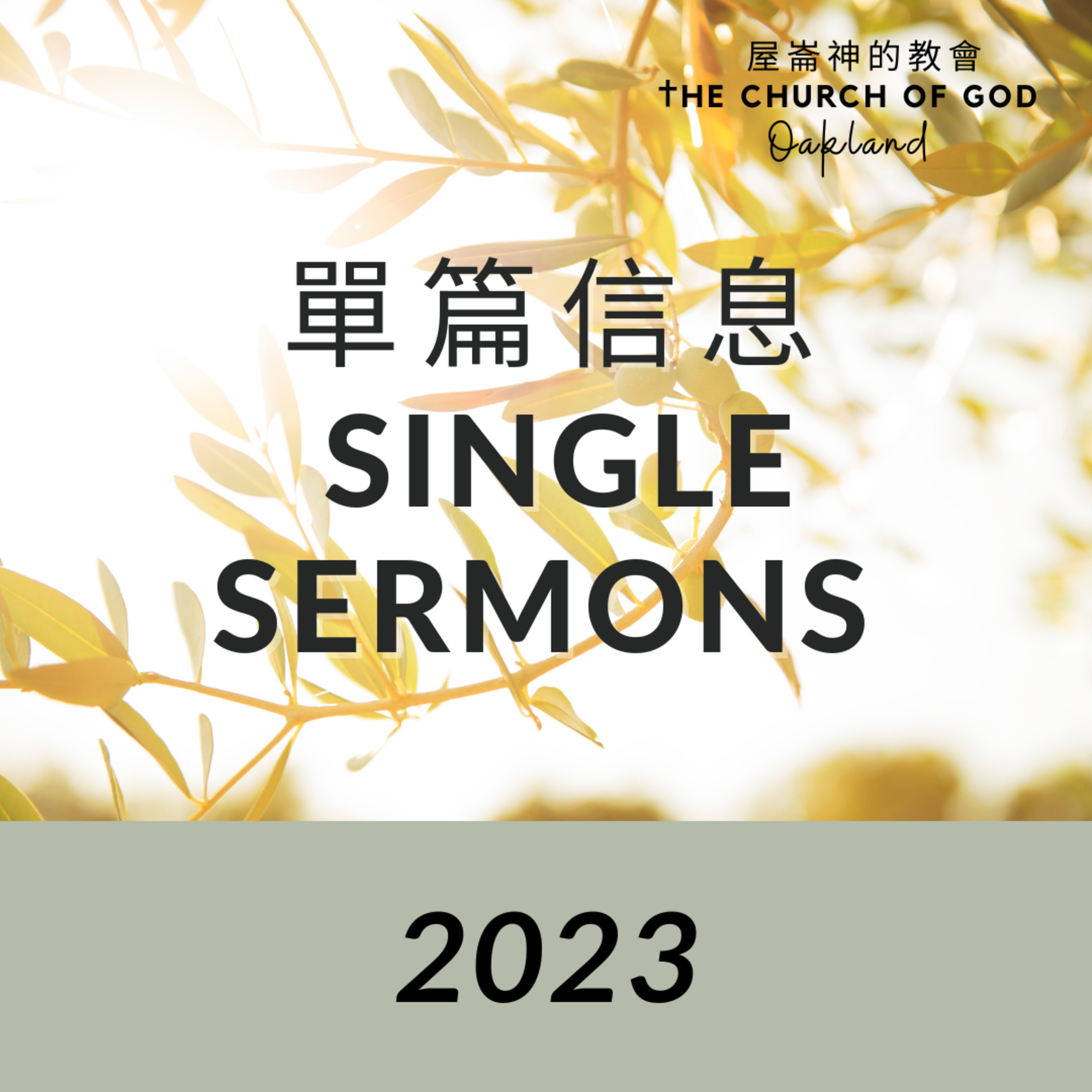 2023 Single sermons 03 Prayer meeting episode artwork