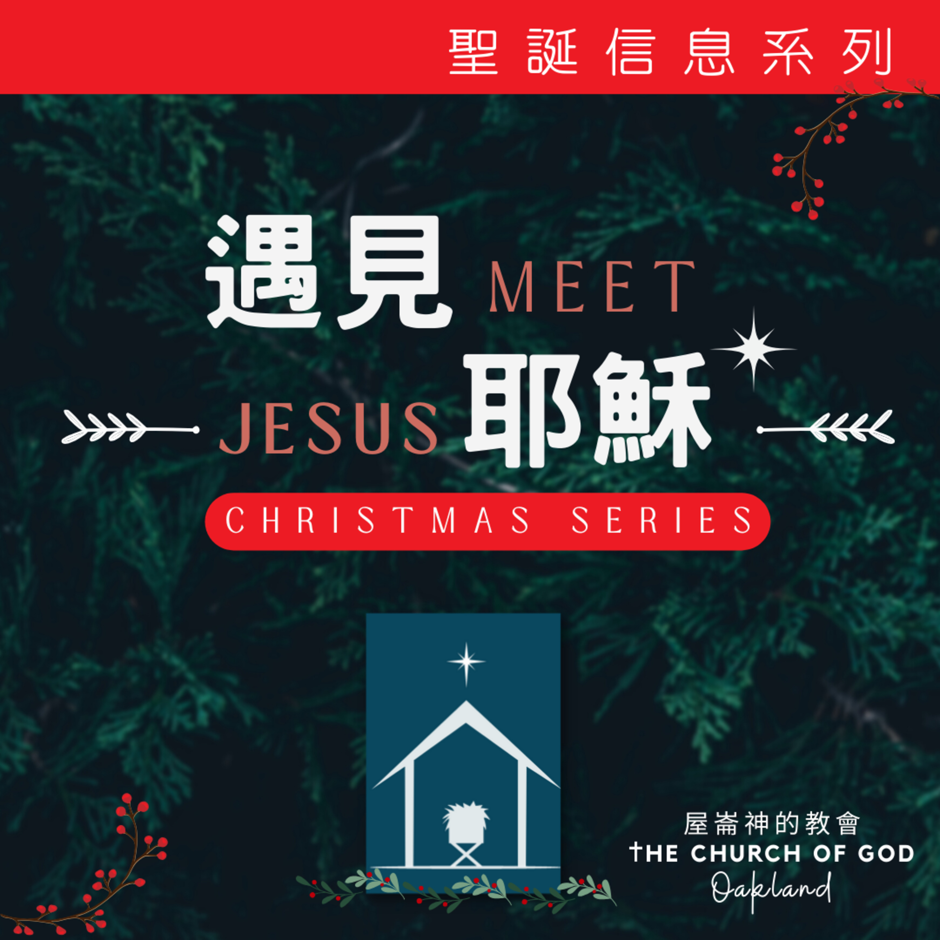 Meet Jesus "遇見耶穌" 信息系列1 - 野地牧人 episode artwork