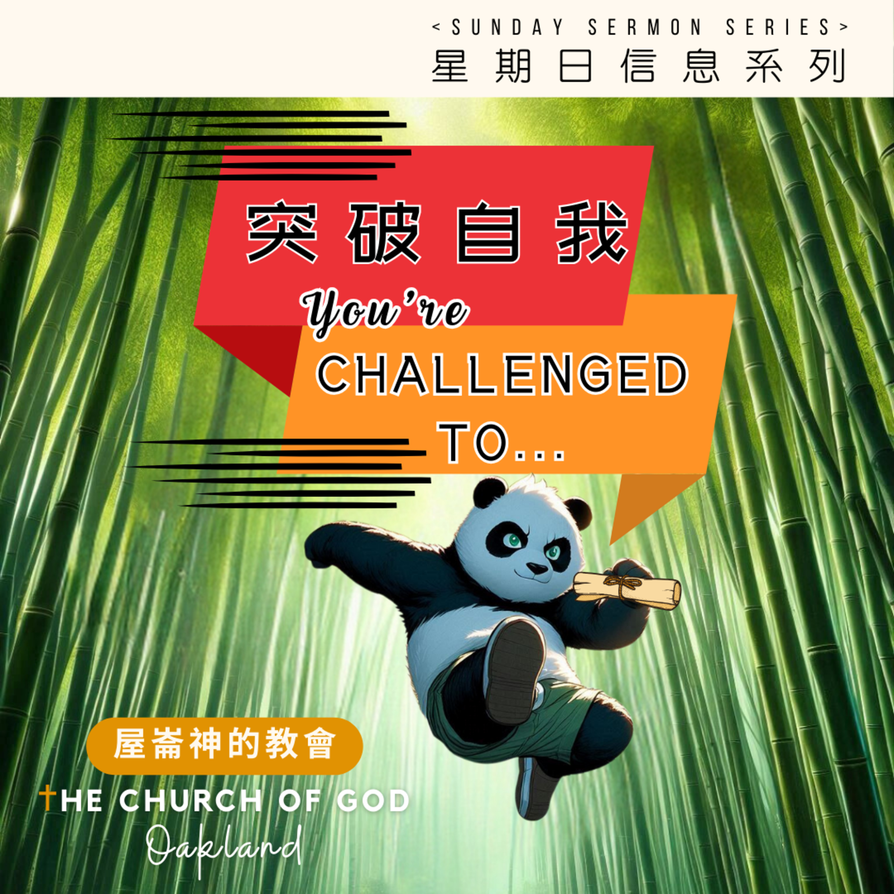 You're Challenged To "突破自我​" 9 - 總結 episode artwork