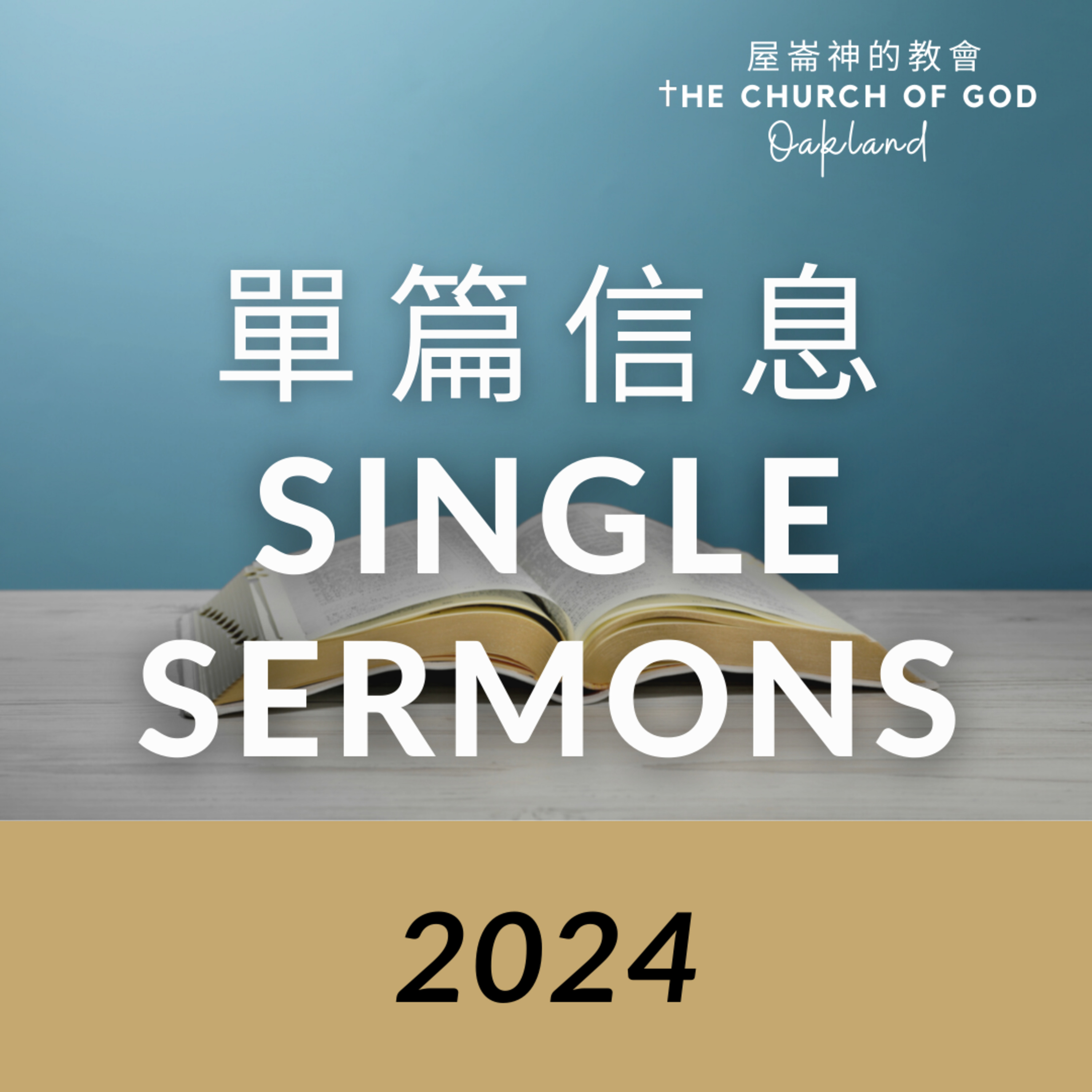 2024 Single sermons 13 感恩​ episode artwork