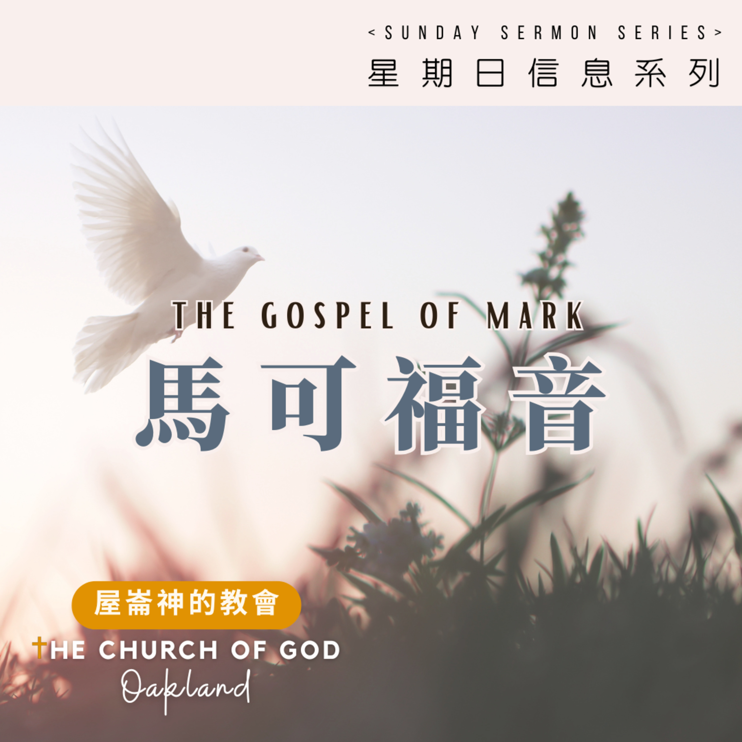 Mark "馬可福音​" 3 神的兒子，耶穌基督的福音​ episode artwork