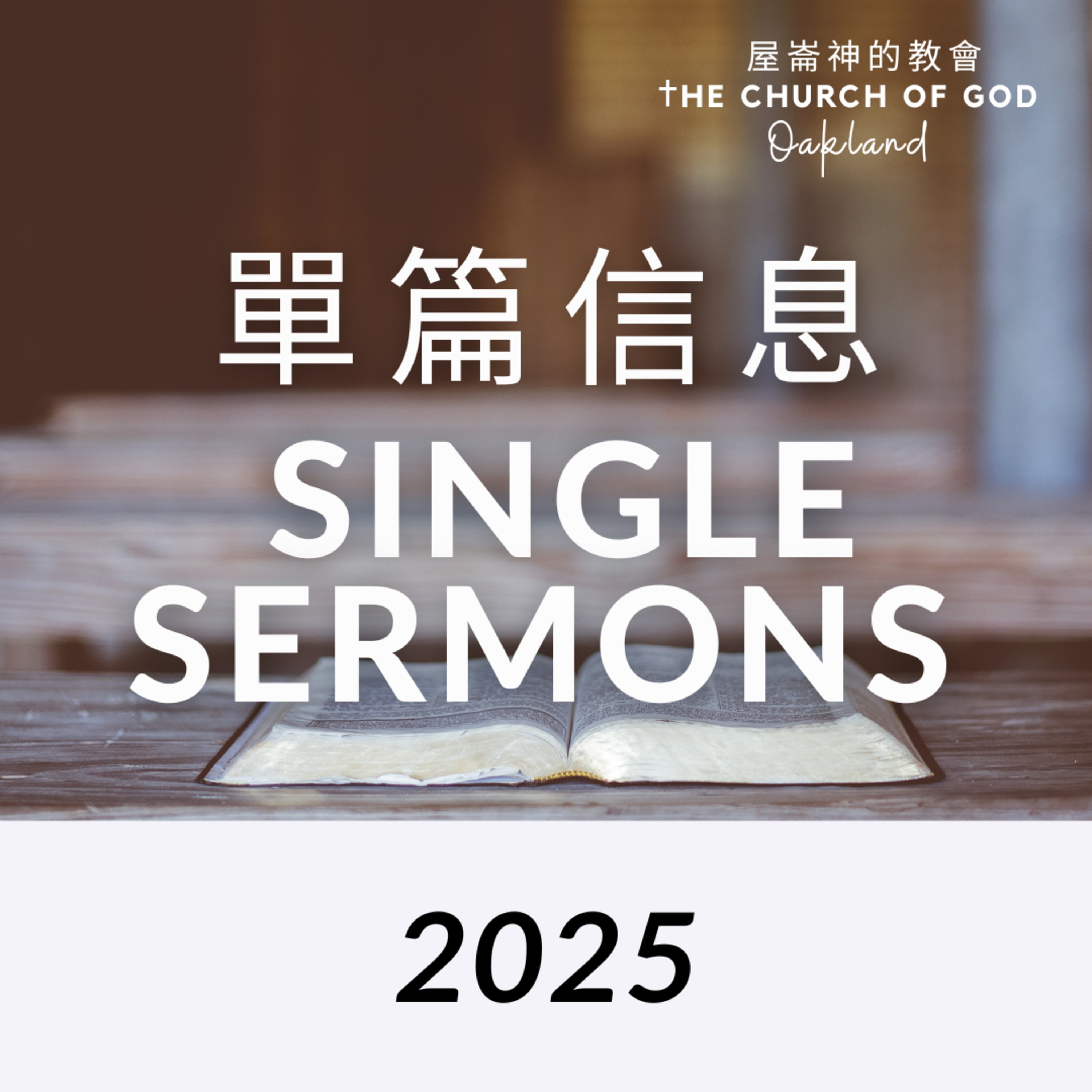 2025 Single sermon 建立基督的身體​ 行動 2 episode artwork