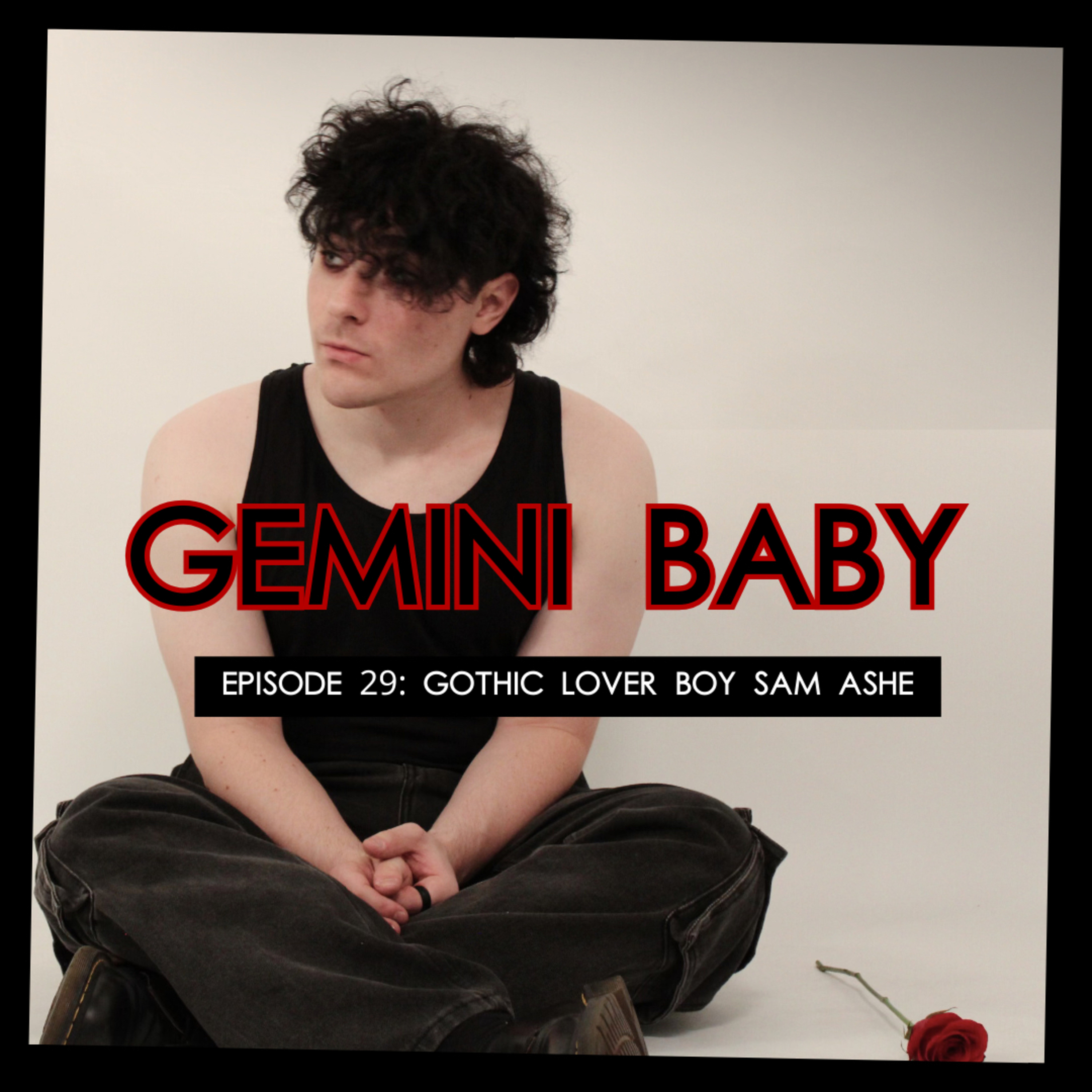 Gemini Baby