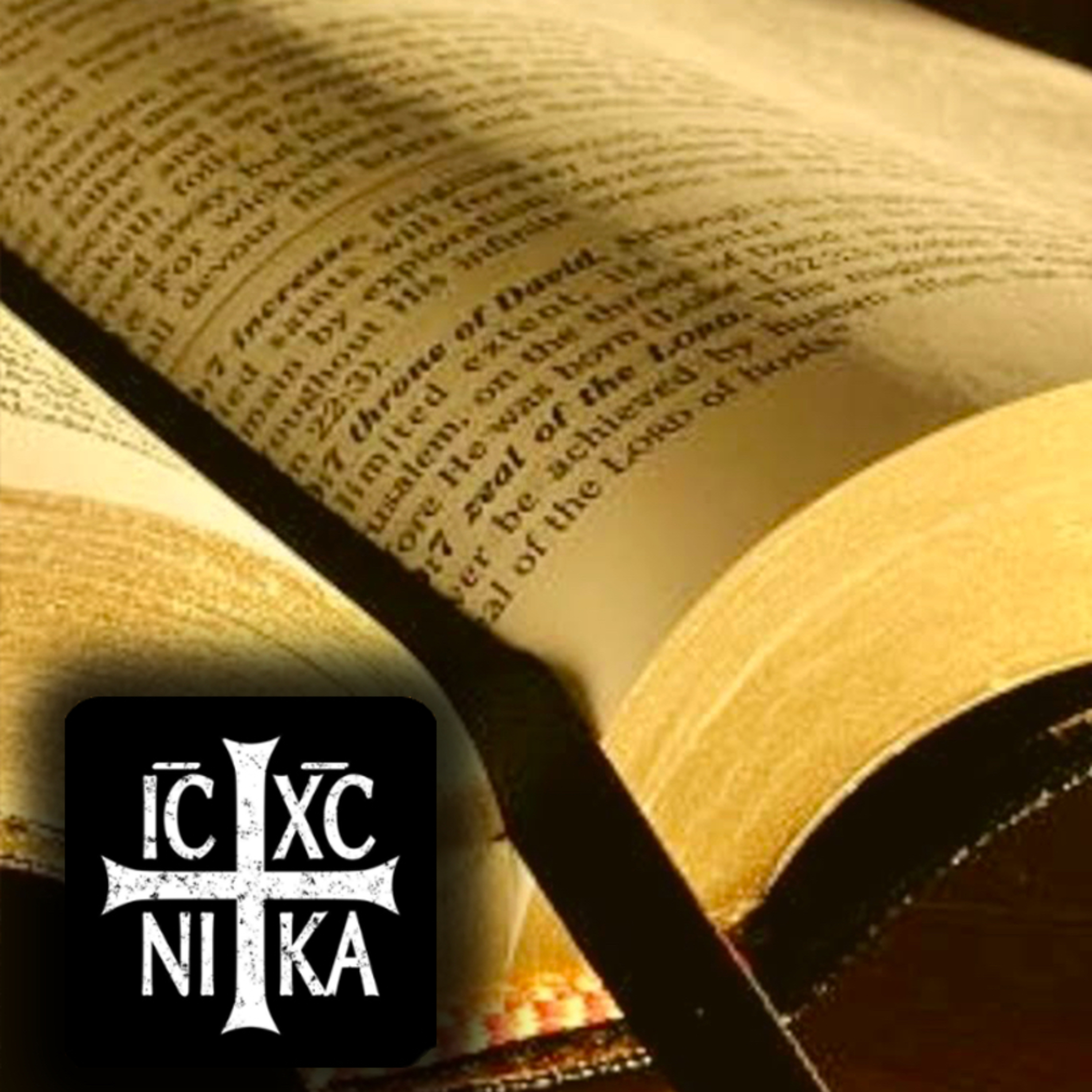 イエス・キリストの新約聖書 (The New Testament in Japanese)