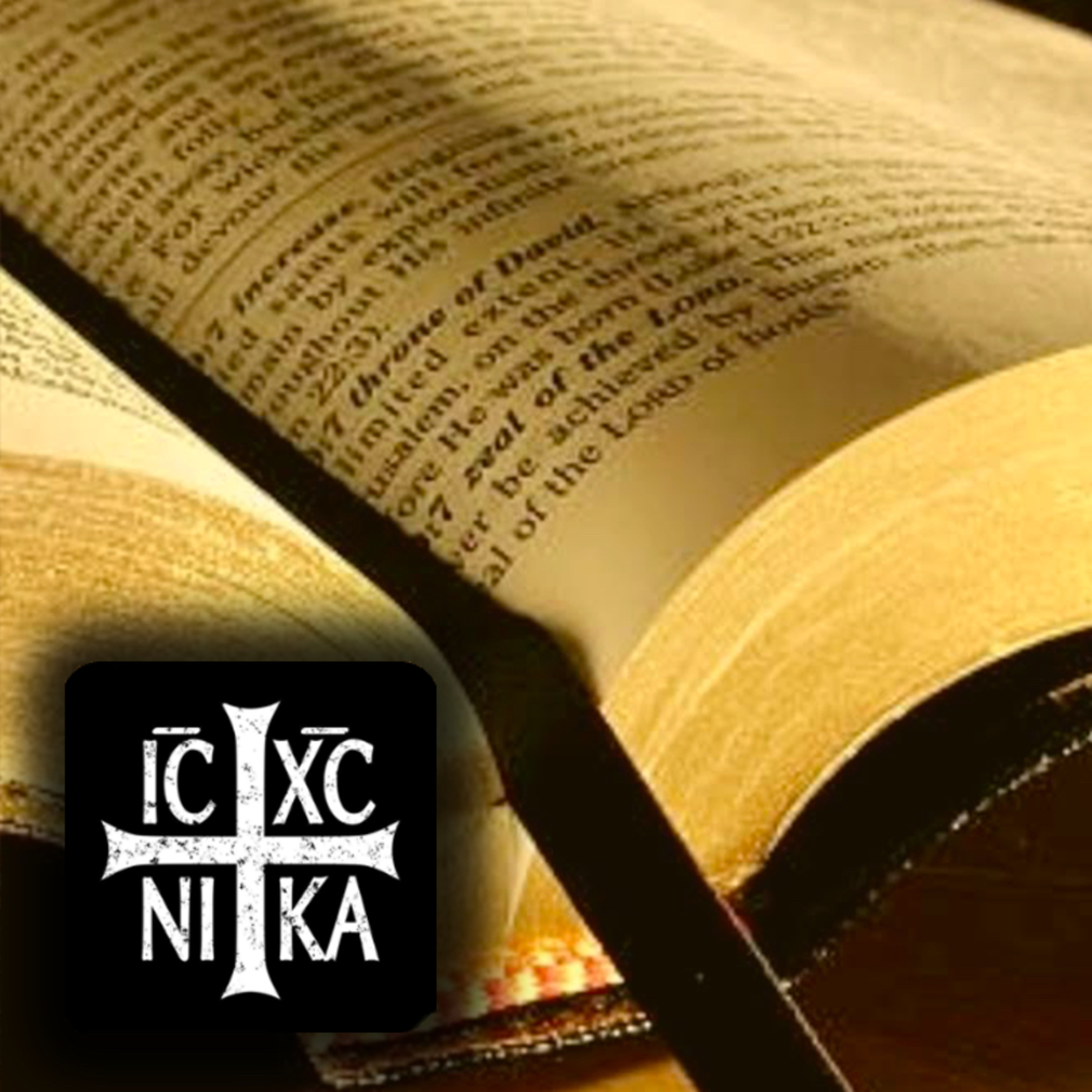 العهد الجديد ليسوع المسيح (The New Testament in Arabic)