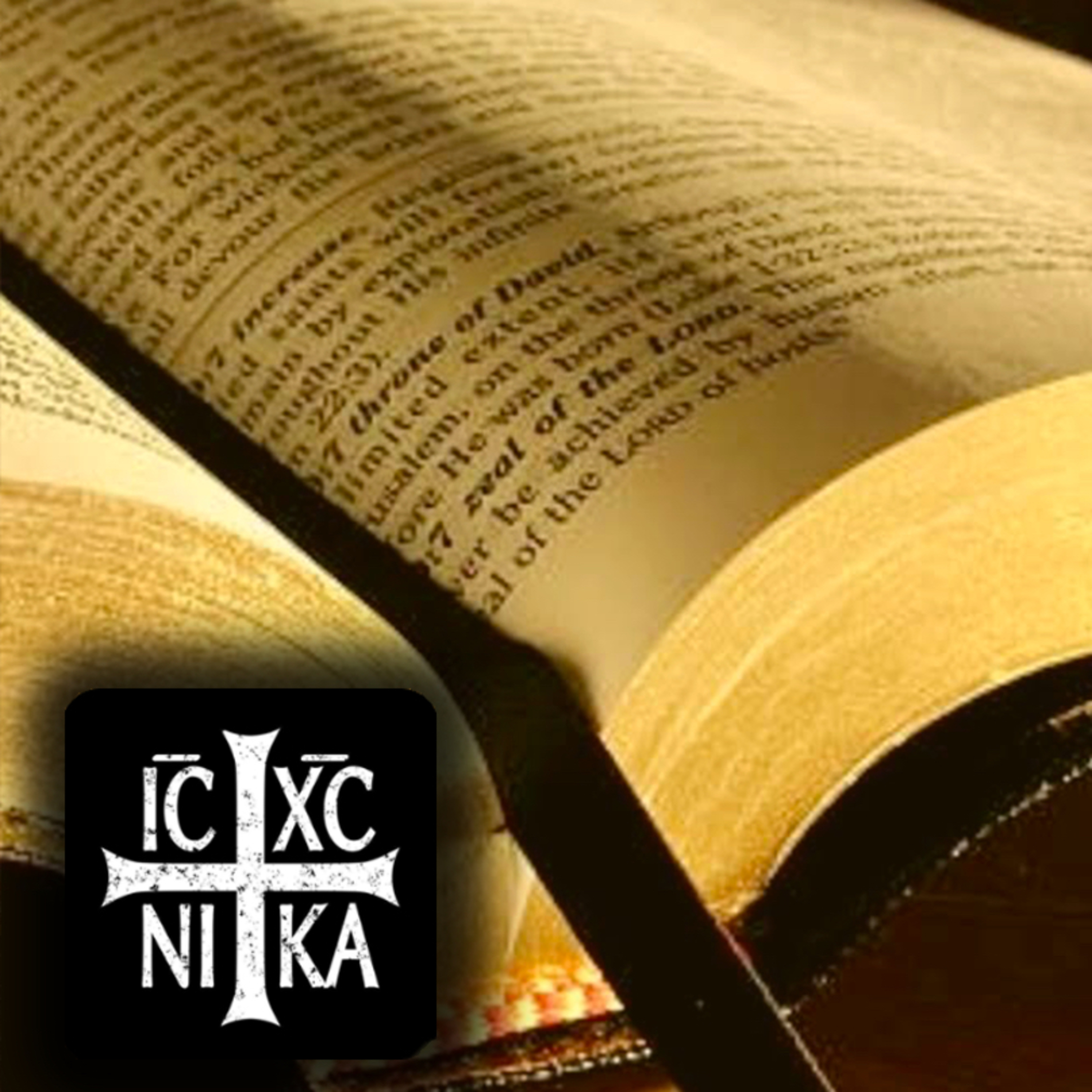 Daily KJV New Testament Chapter (Audio-Bible)