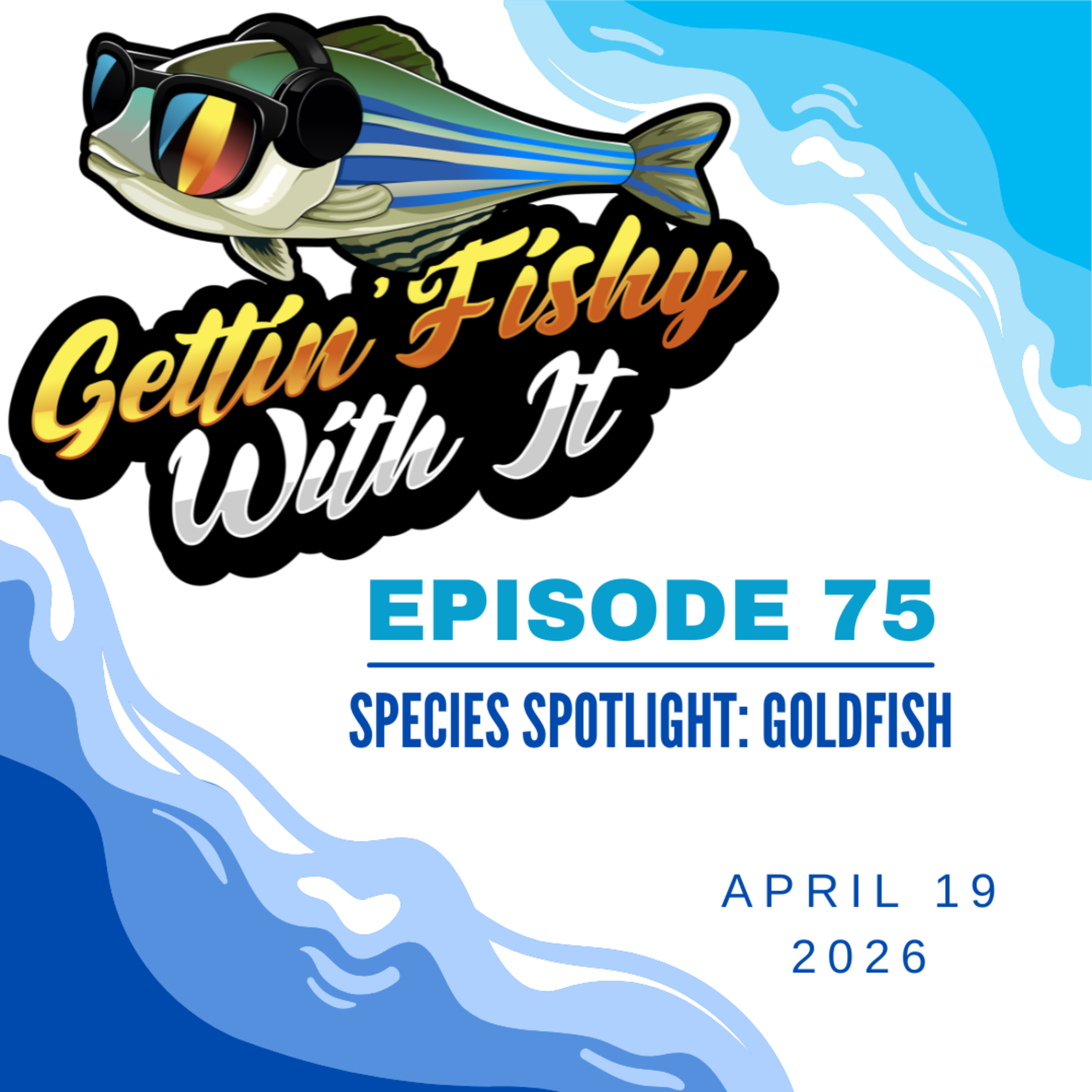Species Spotlight: Goldfish