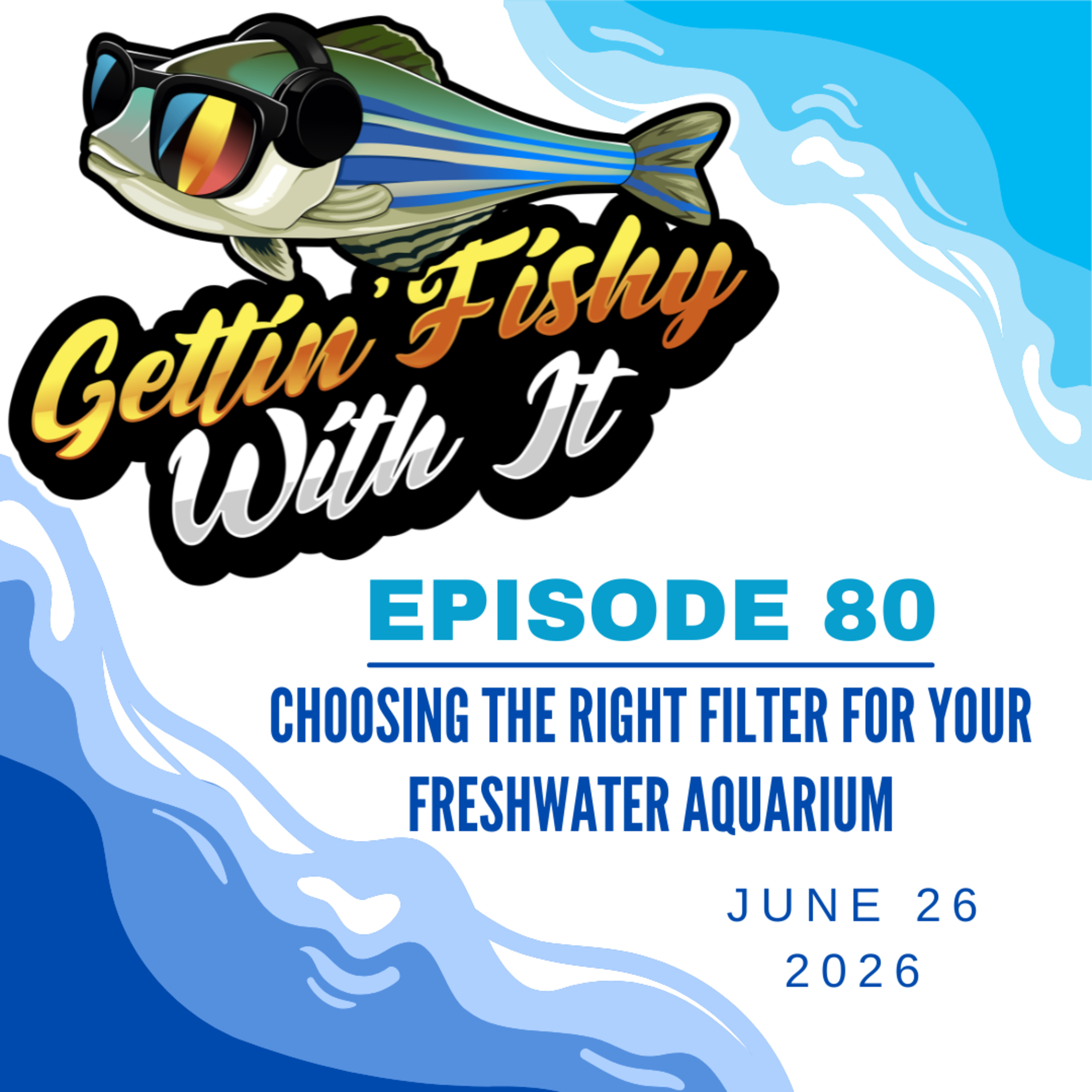 Choosing the Right Filter for Your Freshwater Aquarium