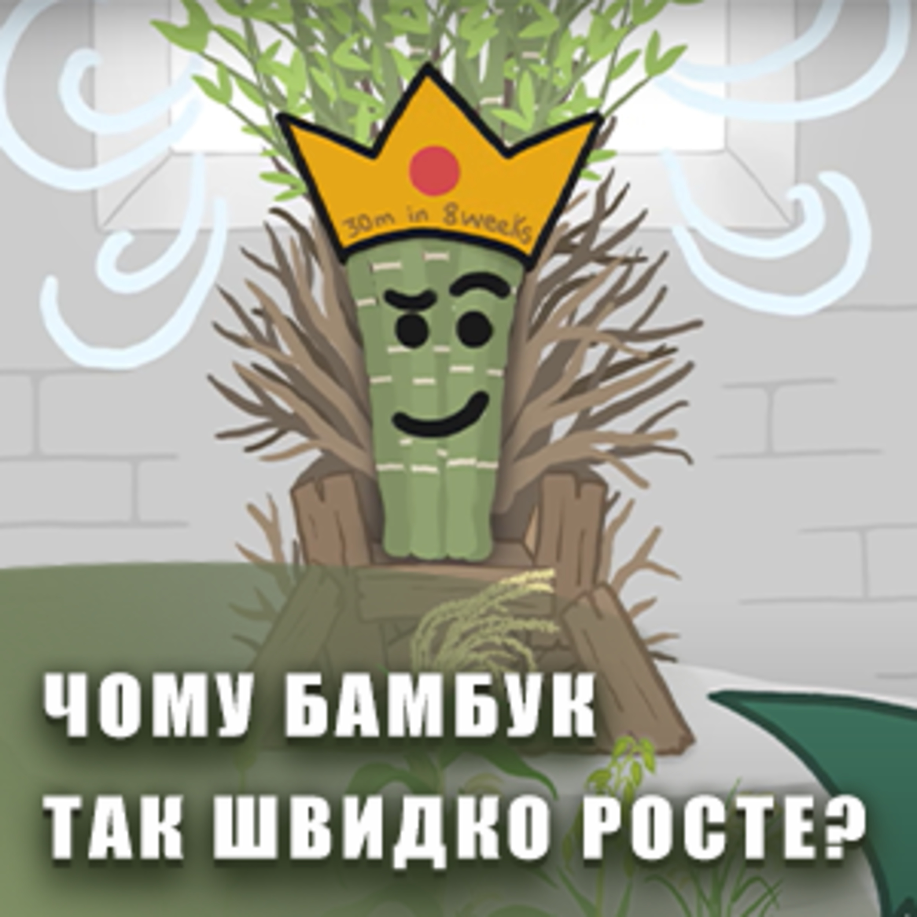 Чому бамбук так швидко росте? episode artwork