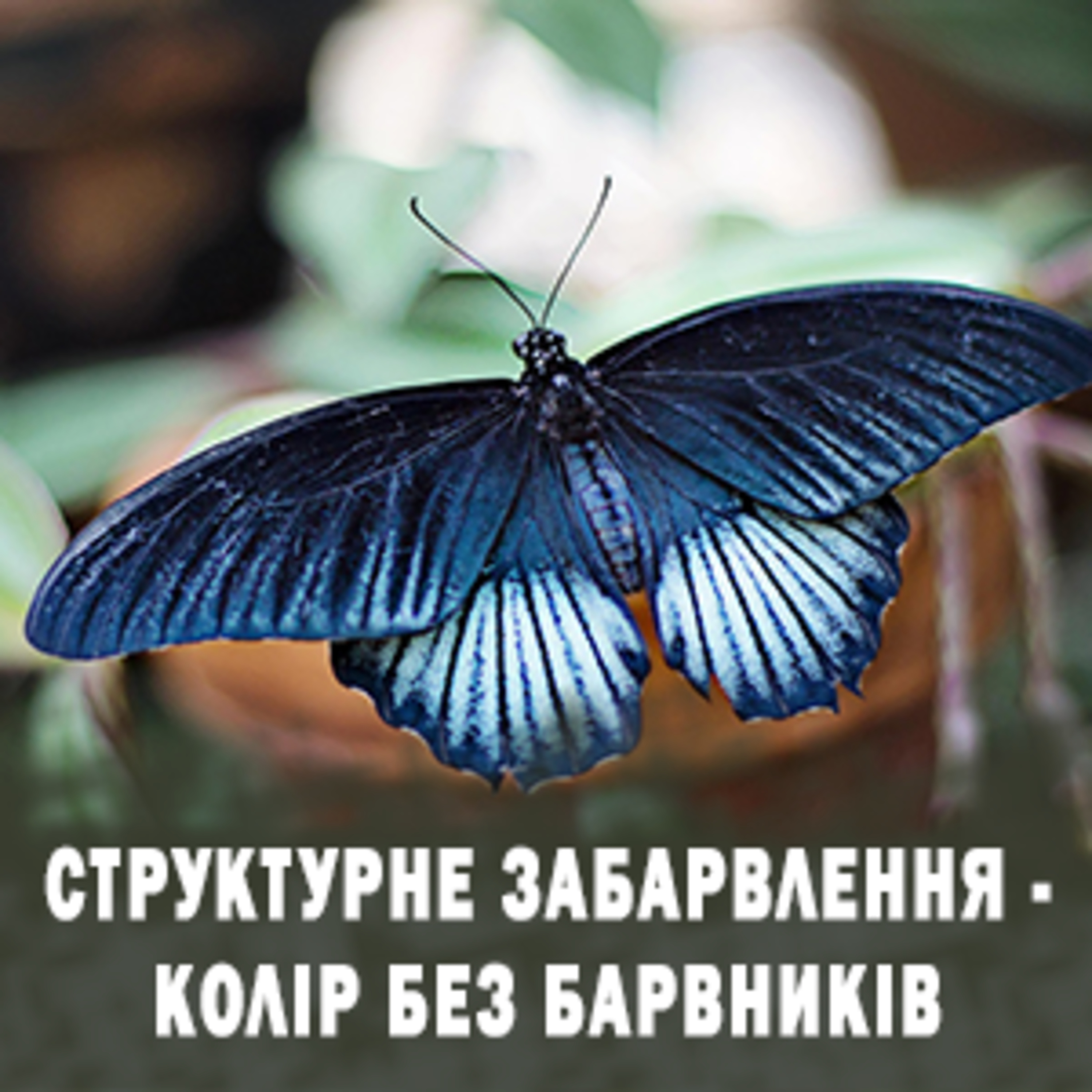 Структурне забарвлення - колір без барвиників episode artwork