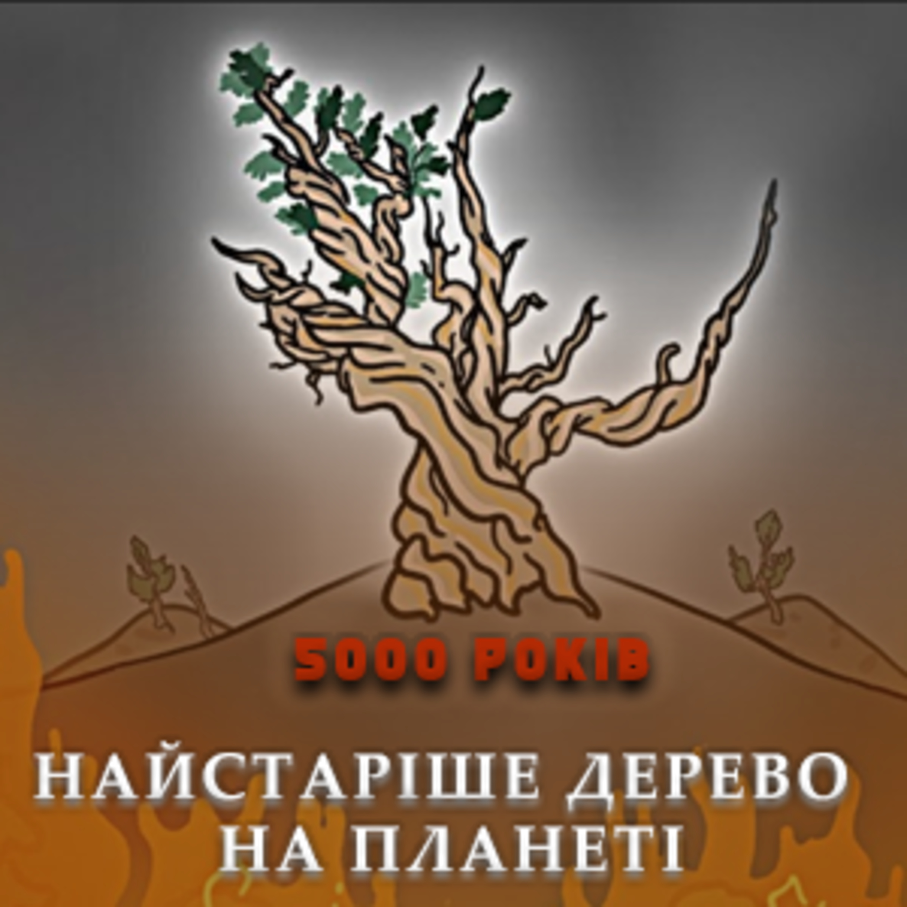 🌲 3 причини, чому це дерево прожило 5000 років I Найстаріше дерево на планеті episode artwork
