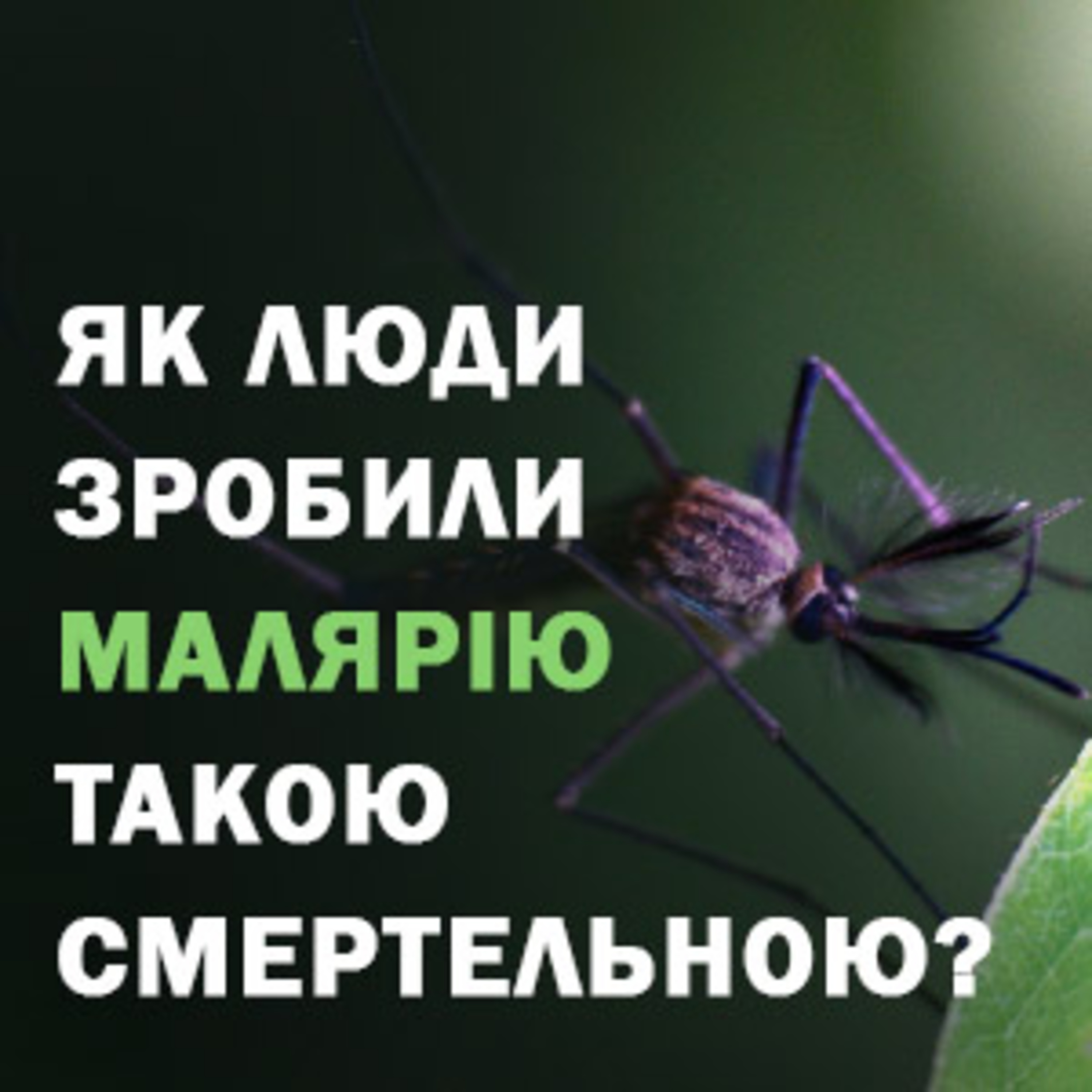 Як люди зробили малярію такою смертельною? episode artwork