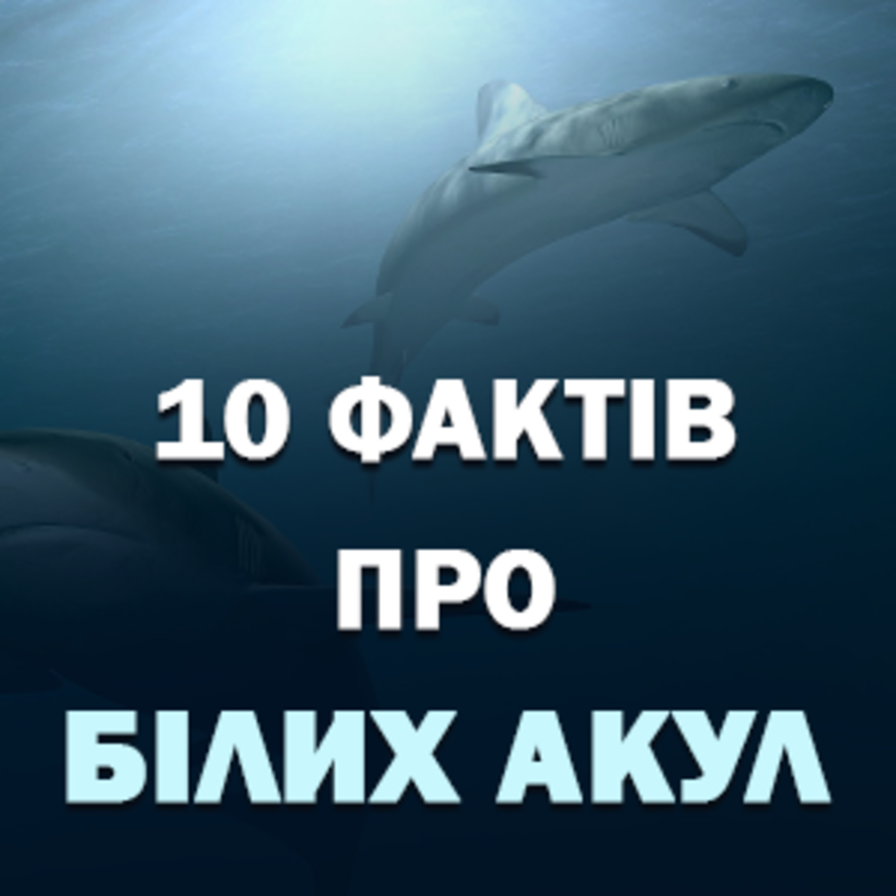 10 фактів про білих акул🦈 episode artwork