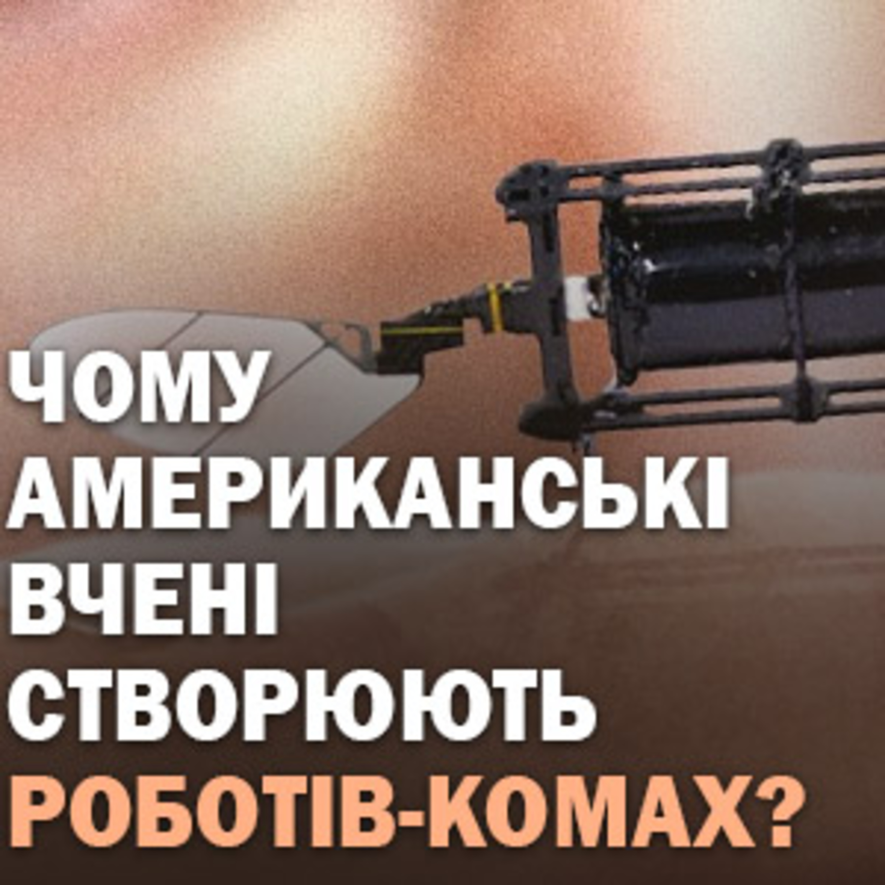 Чому американські вчені створюють роботів-комах? episode artwork